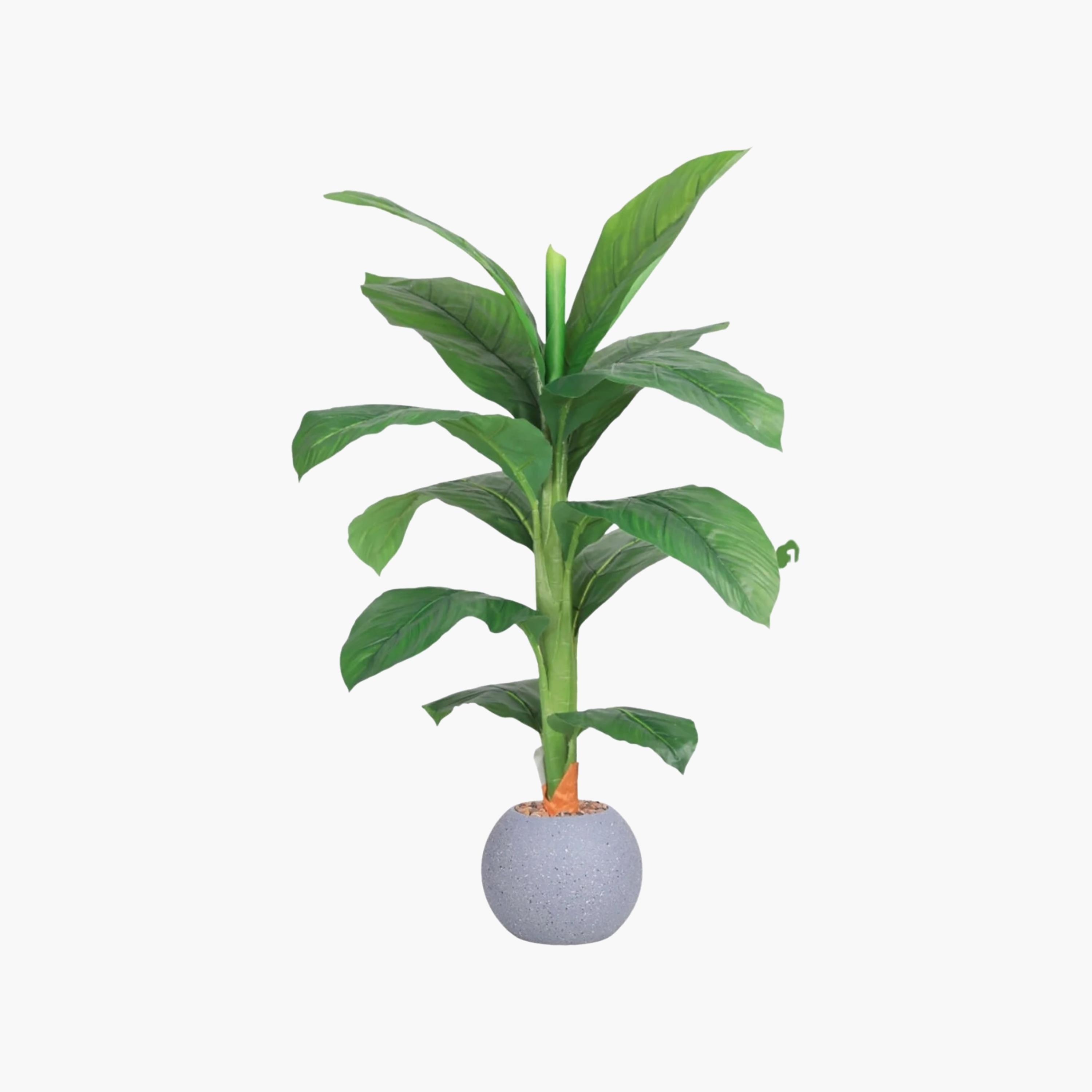 نبتة أوراق صناعية بأصيص من ماريا هومز-household-gardenandoutdoor-artificialflowersandplants-flowers-image-2