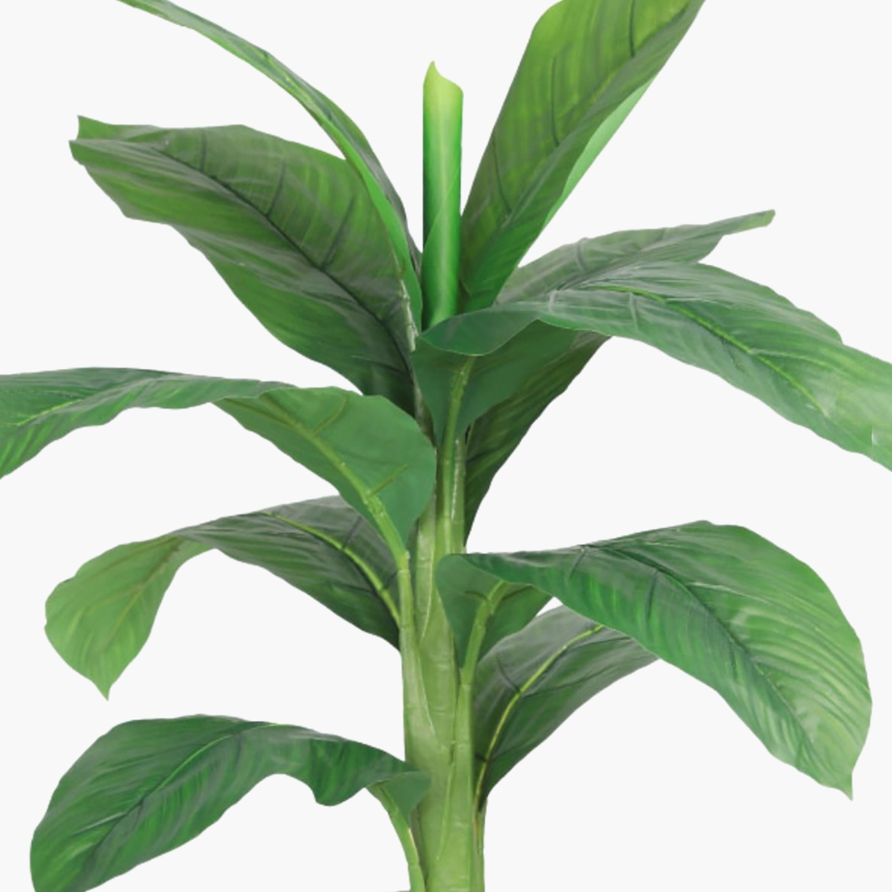 نبتة أوراق صناعية بأصيص من ماريا هومز-household-gardenandoutdoor-artificialflowersandplants-flowers-image-3