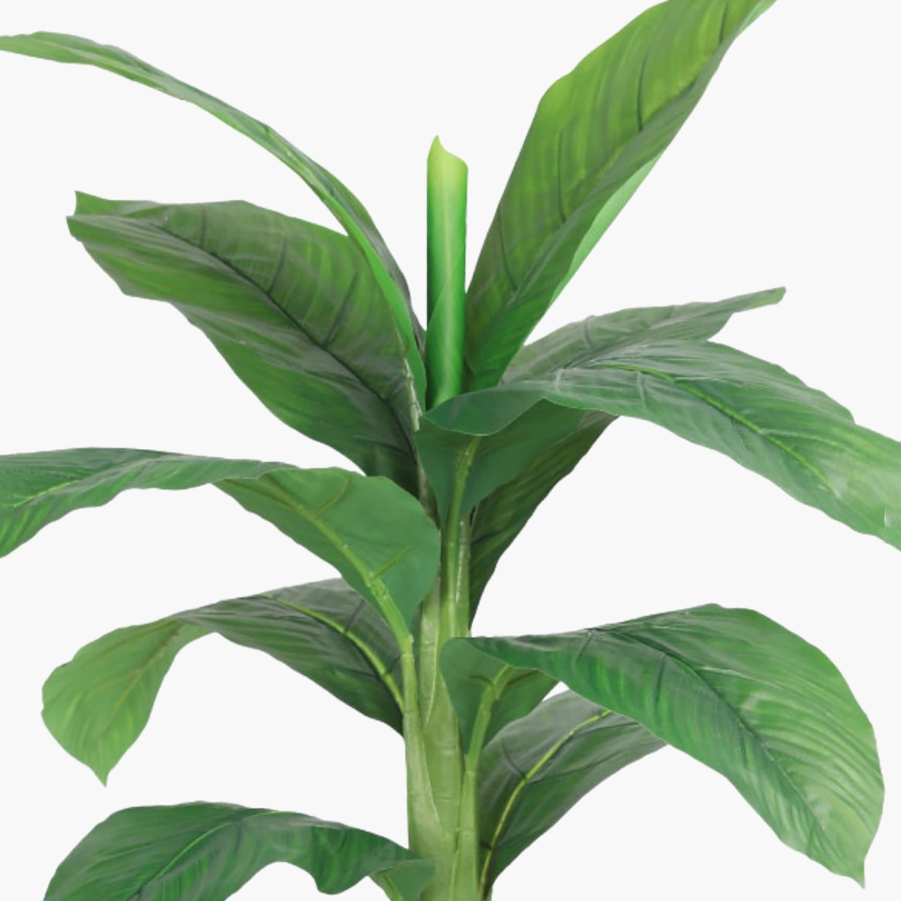 نبتة أوراق صناعية بأصيص من ماريا هومز-household-gardenandoutdoor-artificialflowersandplants-flowers-image-3