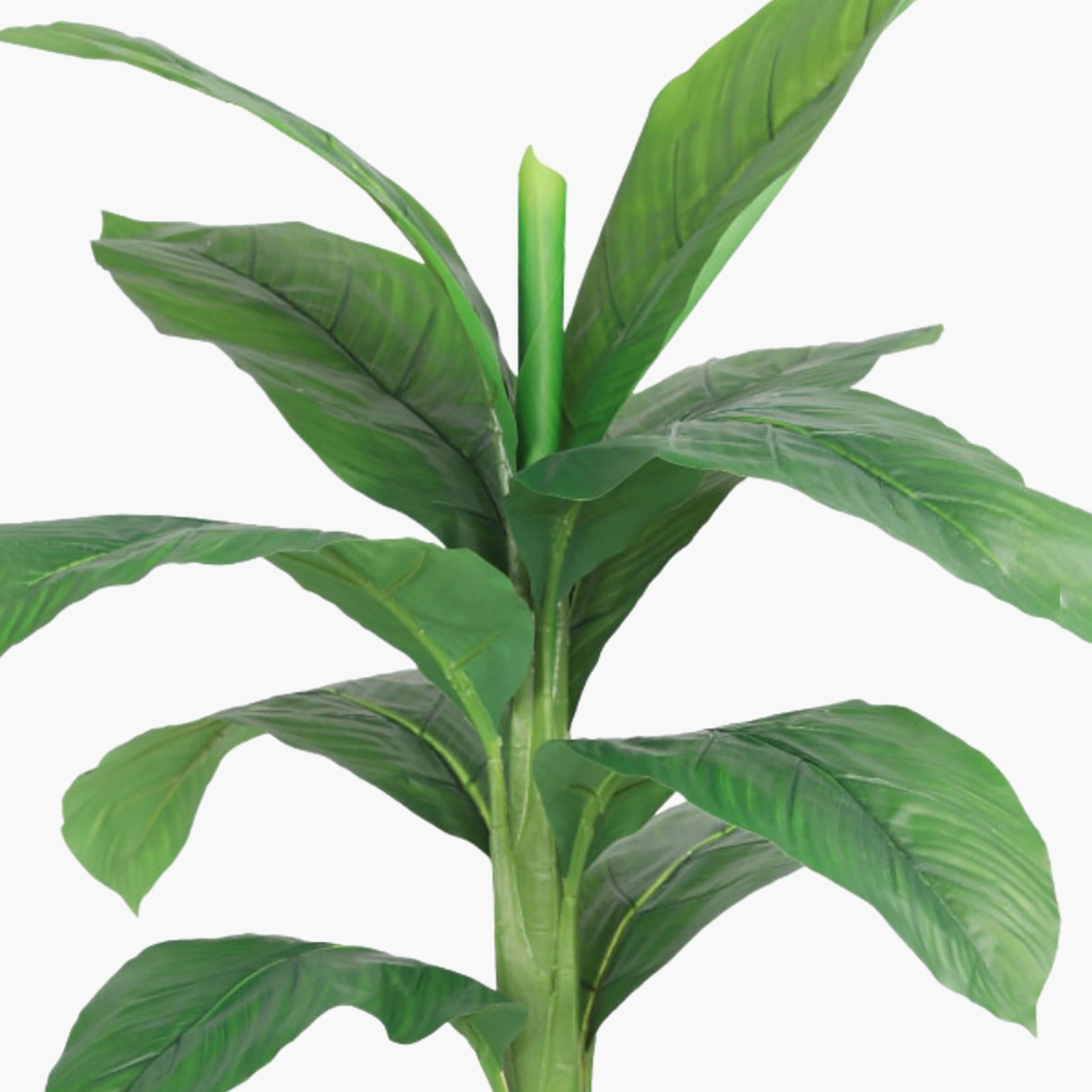 نبتة أوراق صناعية بأصيص من ماريا هومز-household-gardenandoutdoor-artificialflowersandplants-flowers-image-3