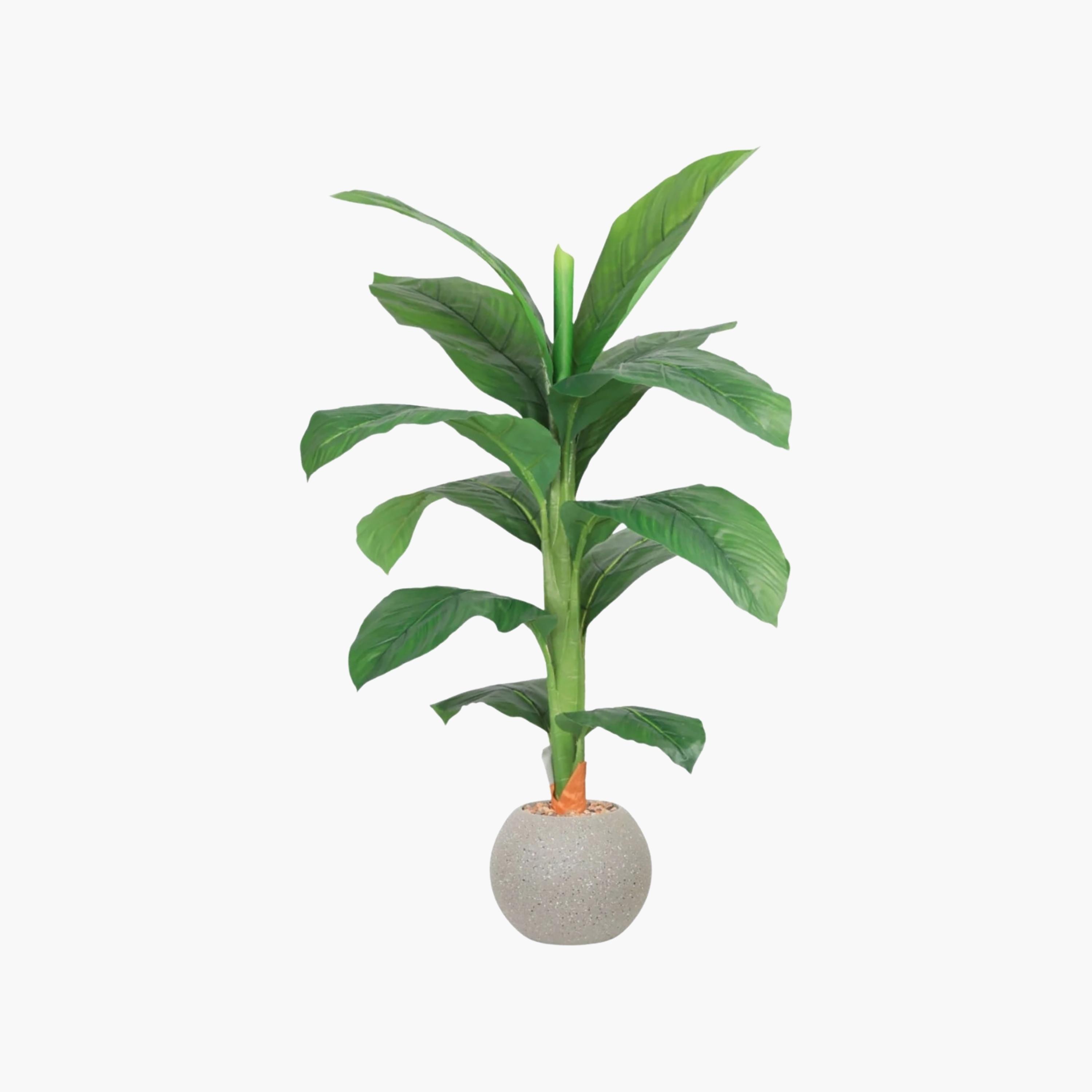 نبتة أوراق صناعية بأصيص من ماريا هومز-household-gardenandoutdoor-artificialflowersandplants-flowers-image-2