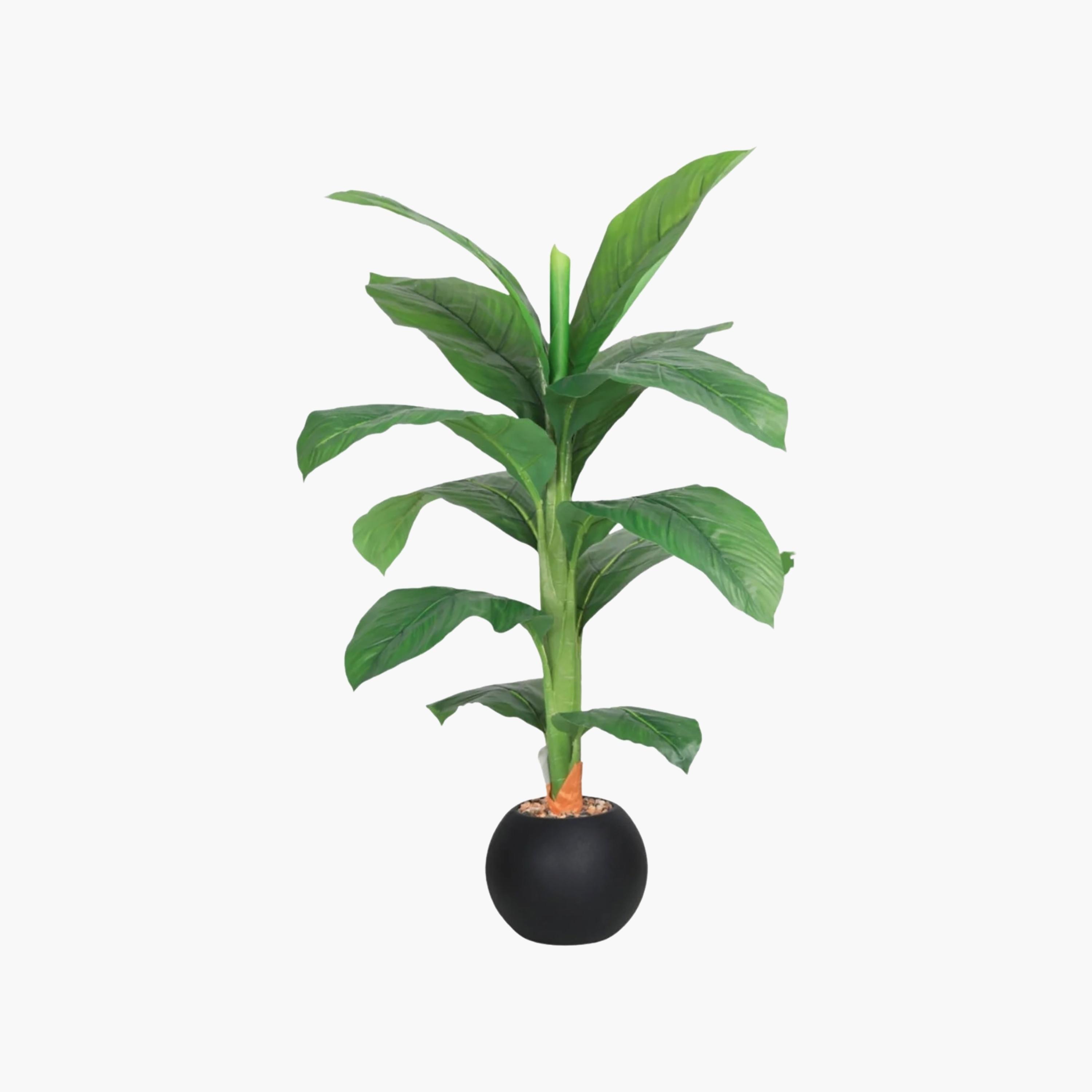 نبتة أوراق صناعية بأصيص من ماريا هومز-household-gardenandoutdoor-artificialflowersandplants-flowers-image-2