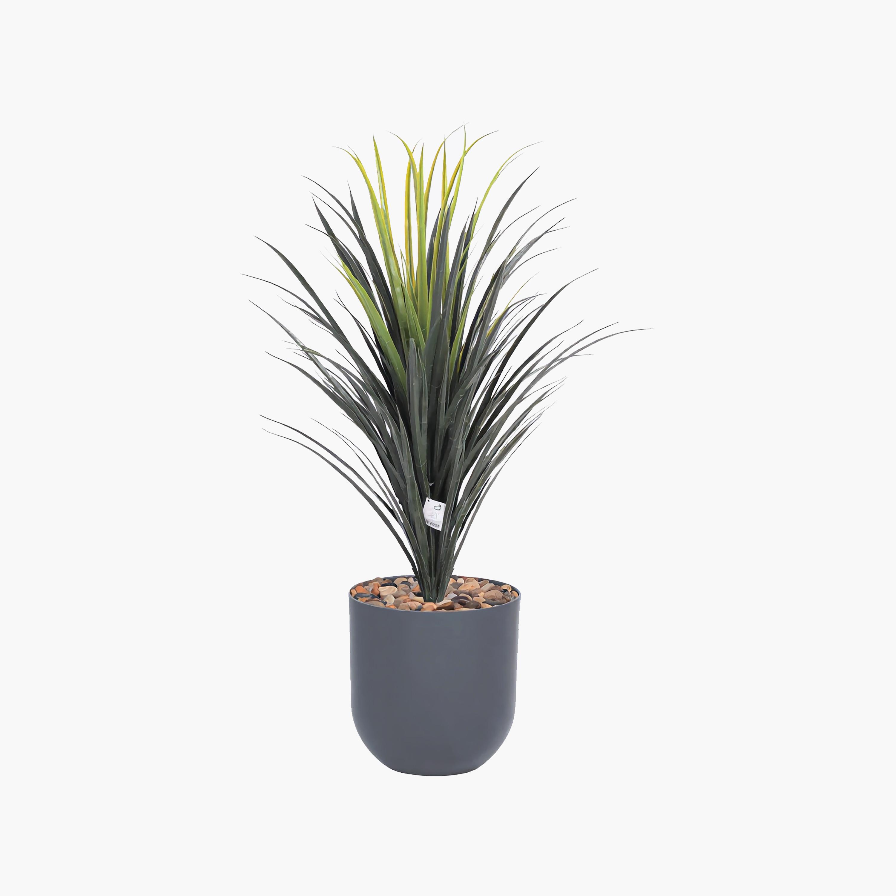 نبتة يوكا صناعية بأصيص من ماريا هومز-household-gardenandoutdoor-artificialflowersandplants-flowers-image-2