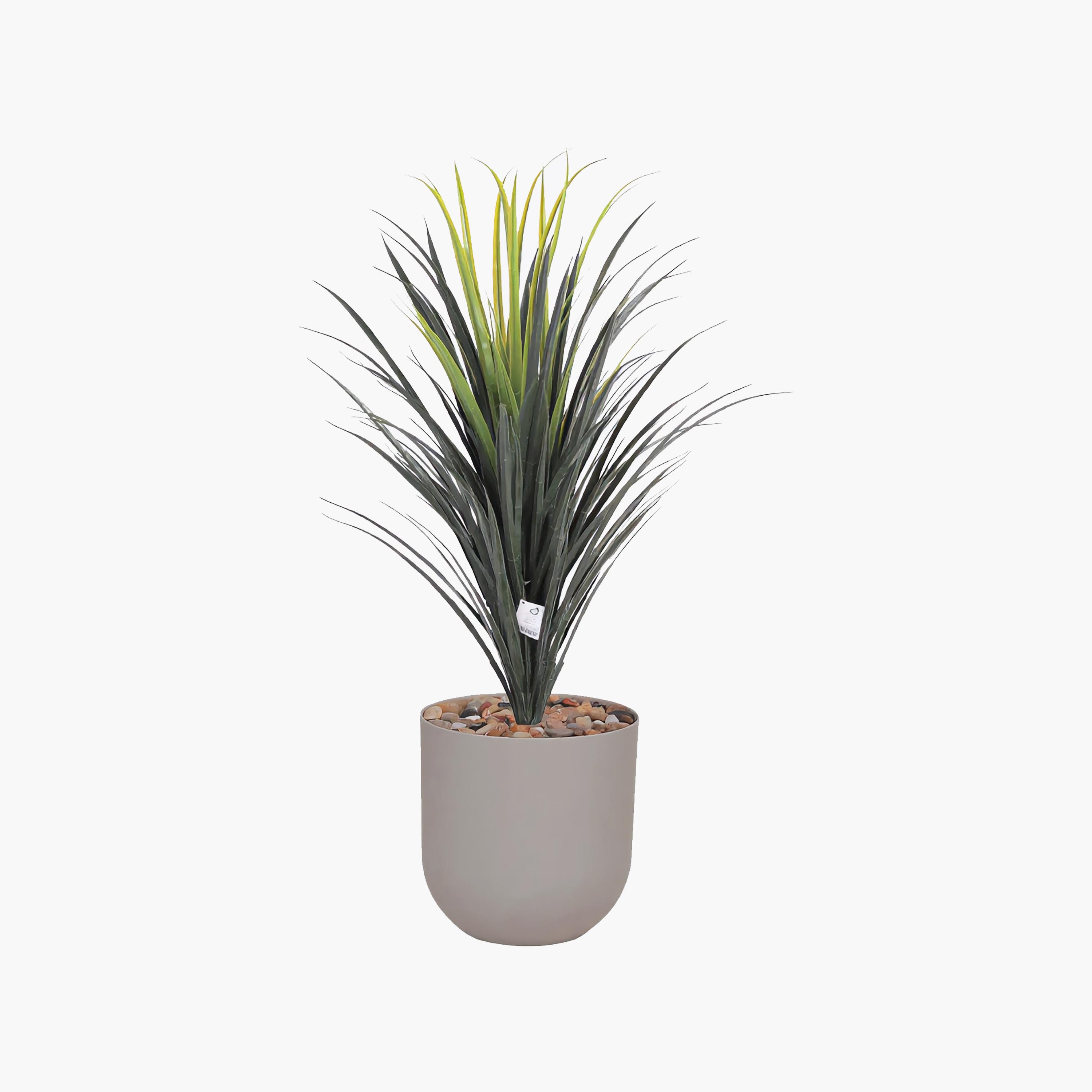 نبتة يوكا صناعية بأصيص من ماريا هومز-household-gardenandoutdoor-artificialflowersandplants-flowers-image-2