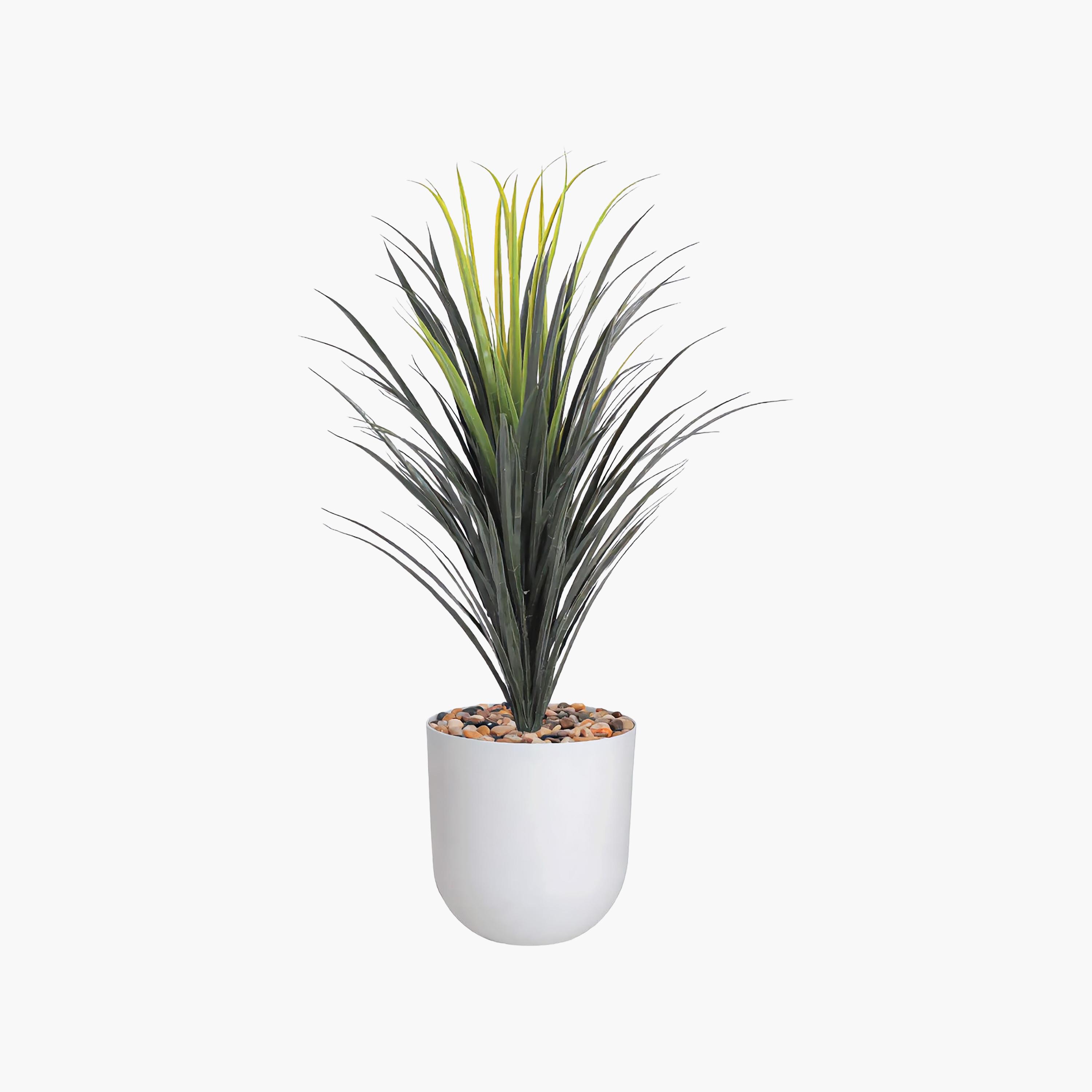 نبتة يوكا صناعية بأصيص من ماريا هومز-household-gardenandoutdoor-artificialflowersandplants-flowers-image-2