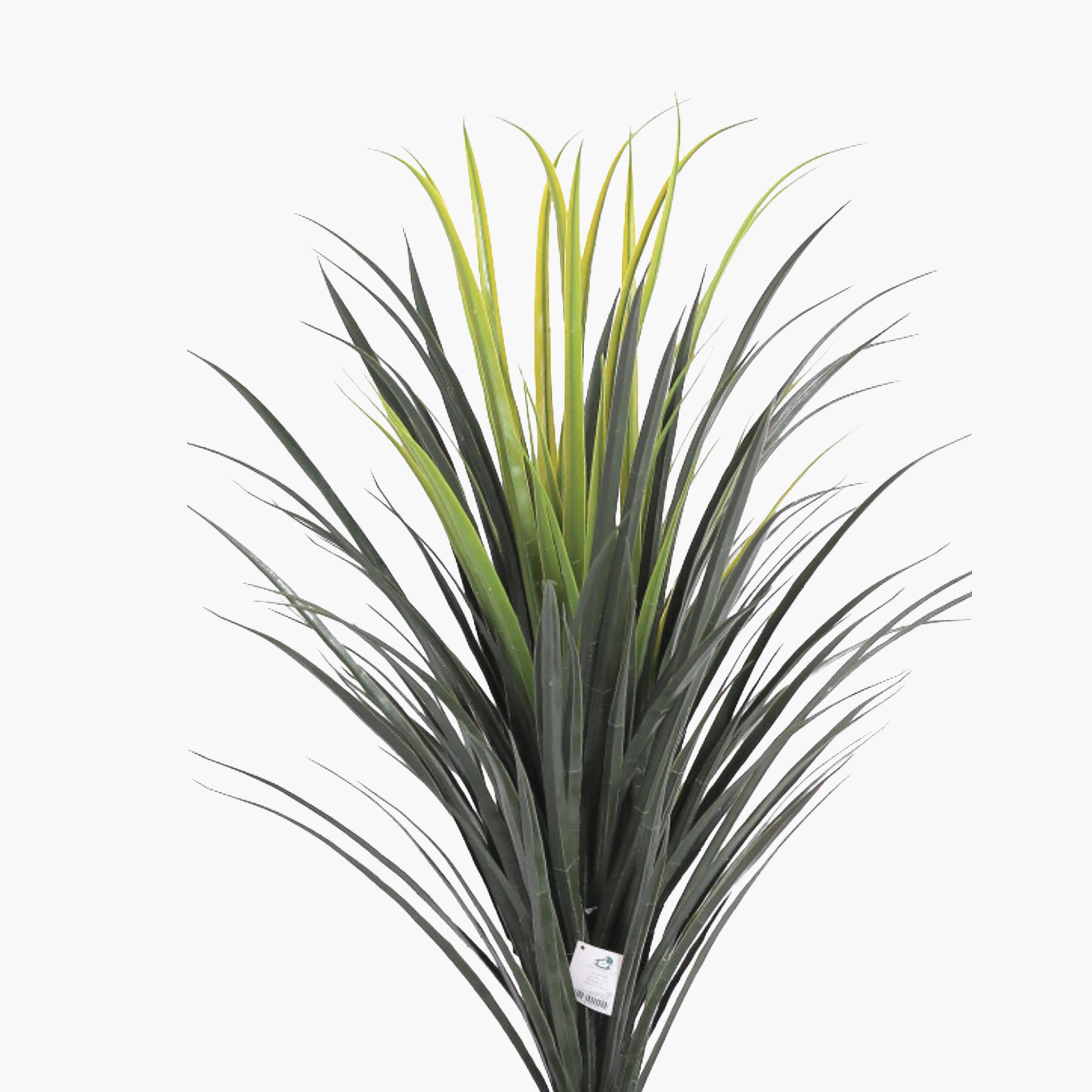 نبتة يوكا صناعية بأصيص من ماريا هومز-household-gardenandoutdoor-artificialflowersandplants-flowers-image-3