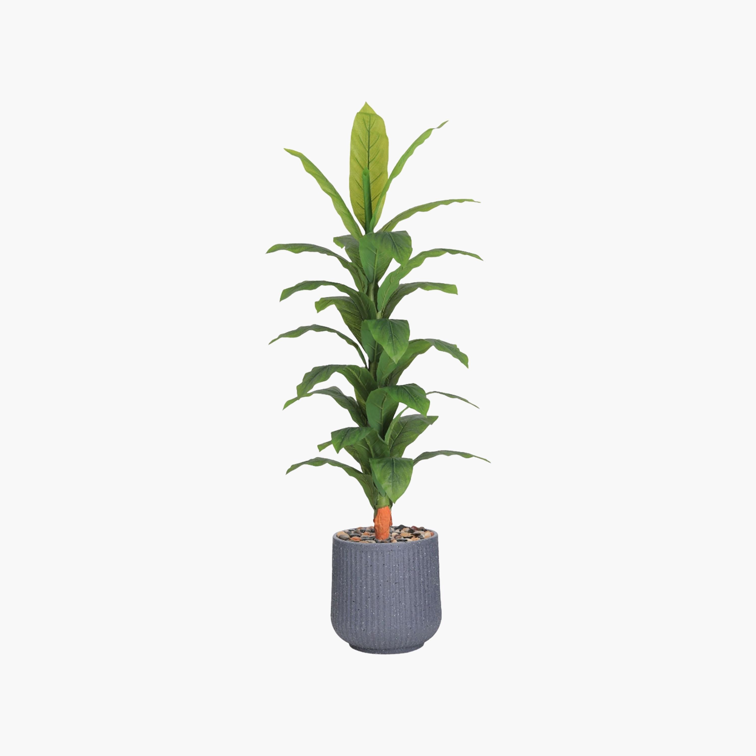Maria Homes Multicolour Potted Artificial Leaf Plant-household-gardenandoutdoor-artificialflowersandplants-flowers-image-2