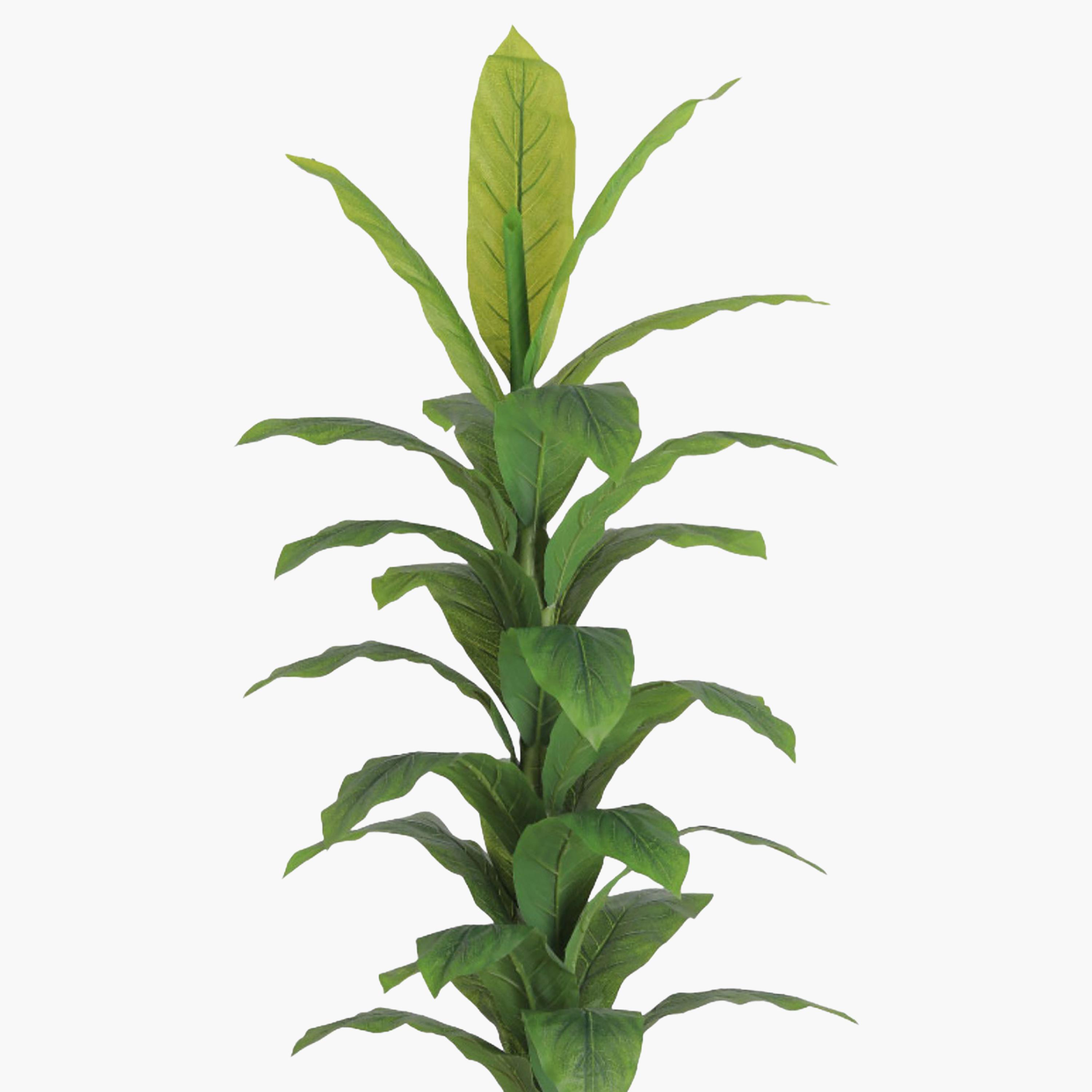 Maria Homes Multicolour Potted Artificial Leaf Plant-household-gardenandoutdoor-artificialflowersandplants-flowers-image-3