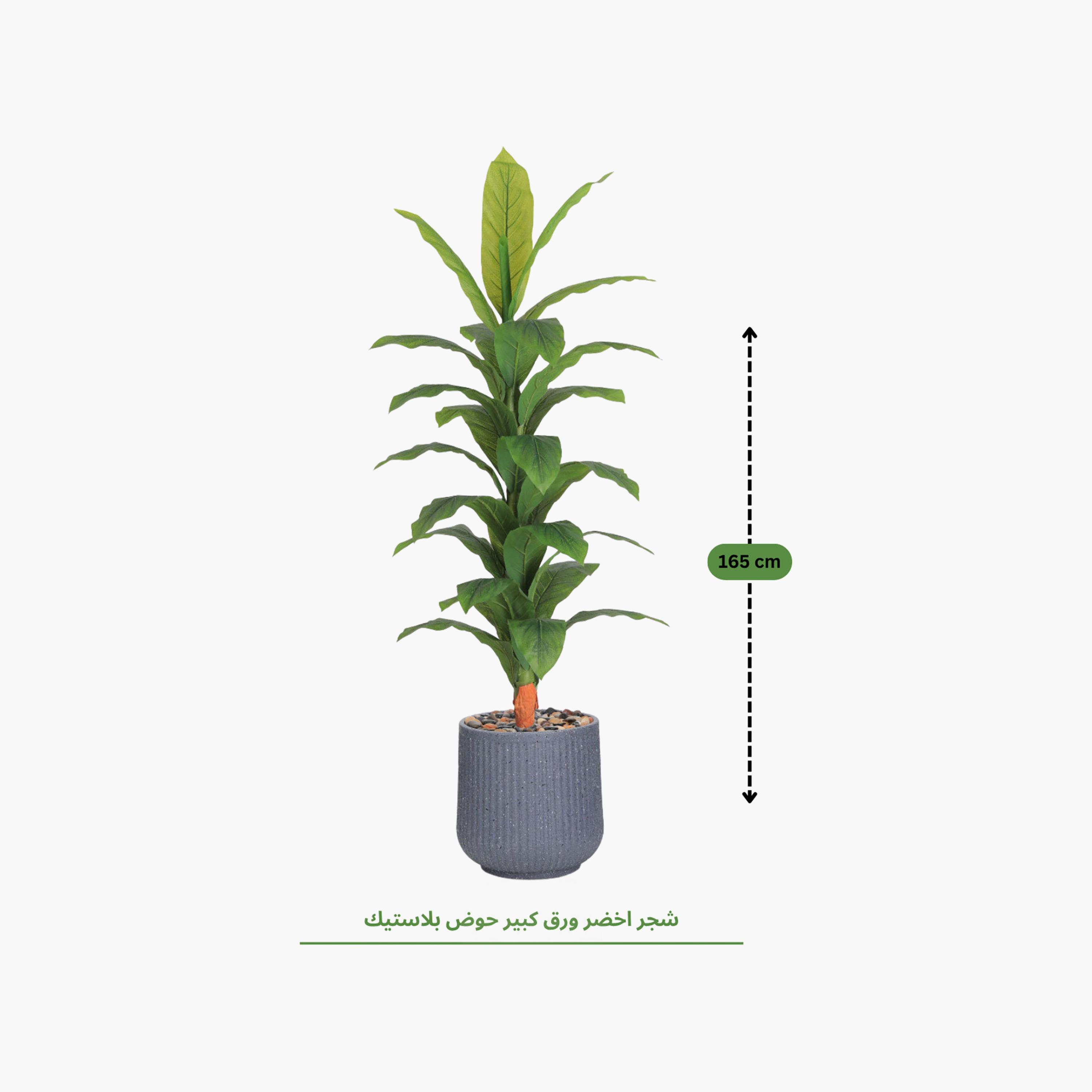 Maria Homes Multicolour Potted Artificial Leaf Plant-household-gardenandoutdoor-artificialflowersandplants-flowers-image-4