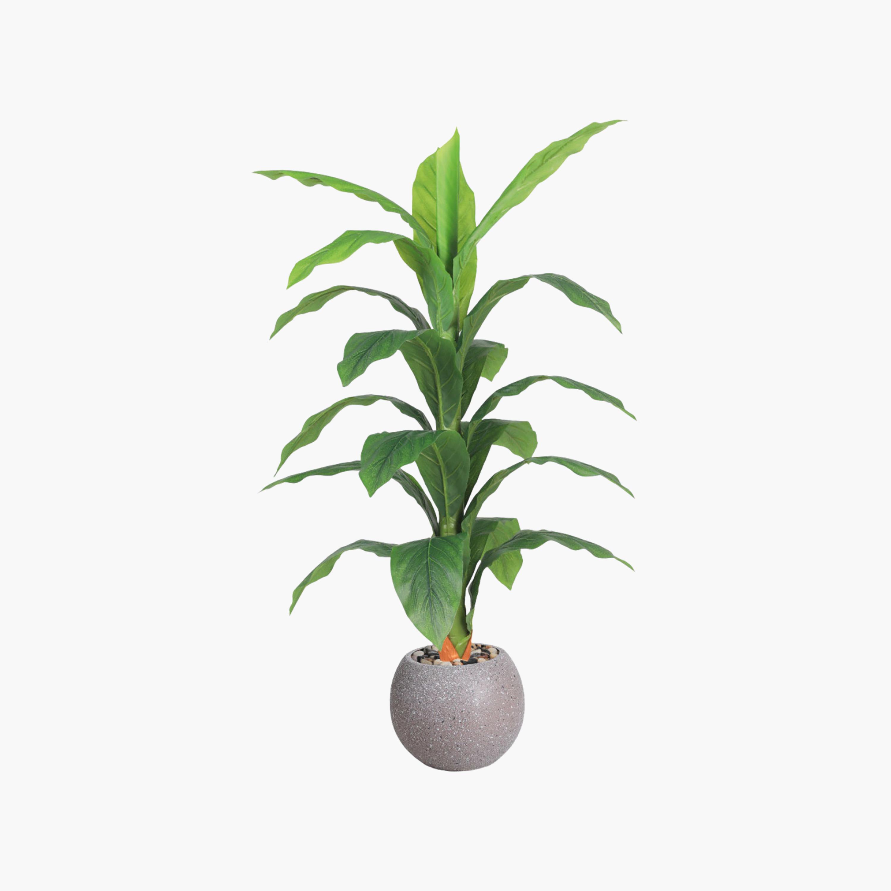 نبتة أوراق صناعية بأصيص من ماريا هومز-household-gardenandoutdoor-artificialflowersandplants-flowers-image-2