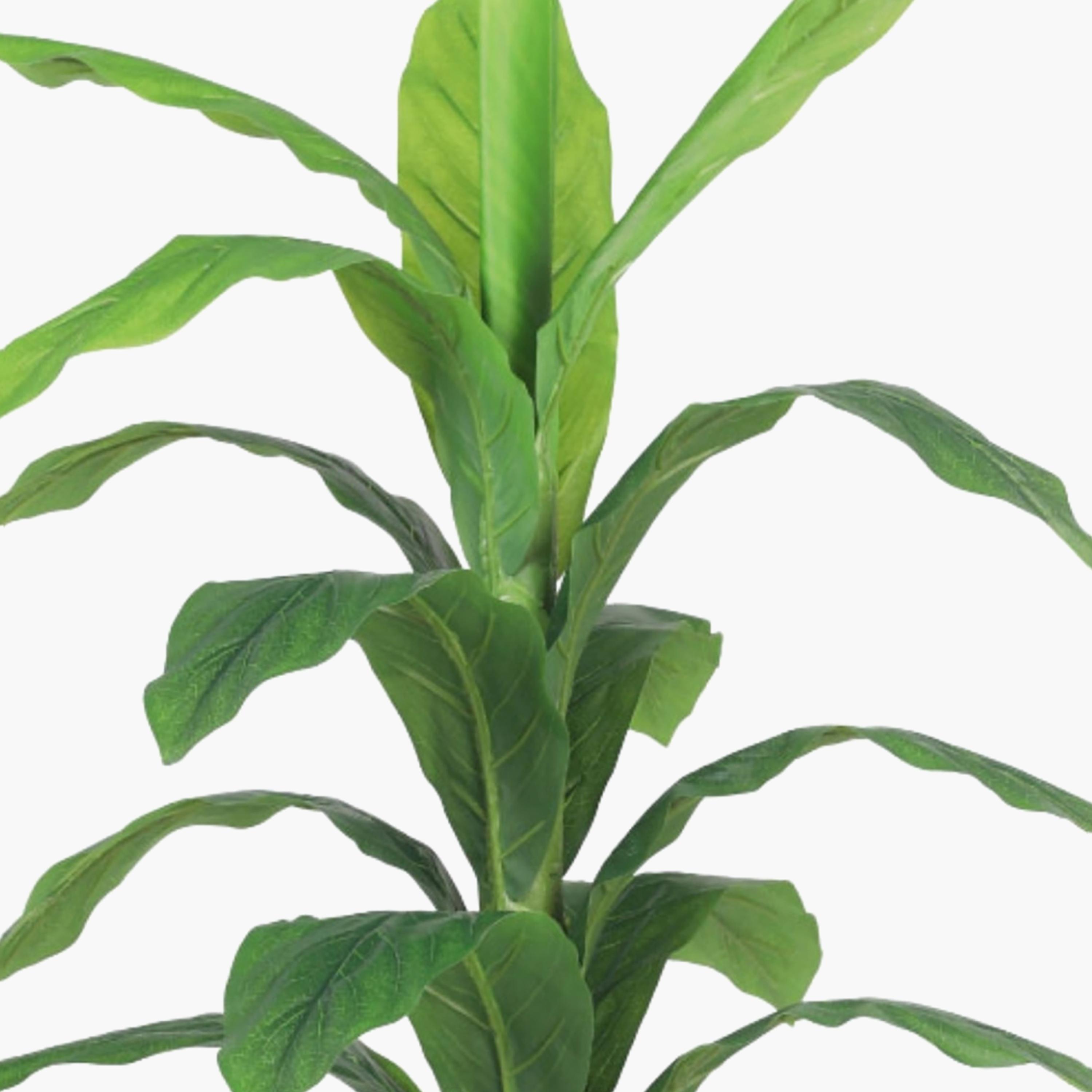 نبتة أوراق صناعية بأصيص من ماريا هومز-household-gardenandoutdoor-artificialflowersandplants-flowers-image-3