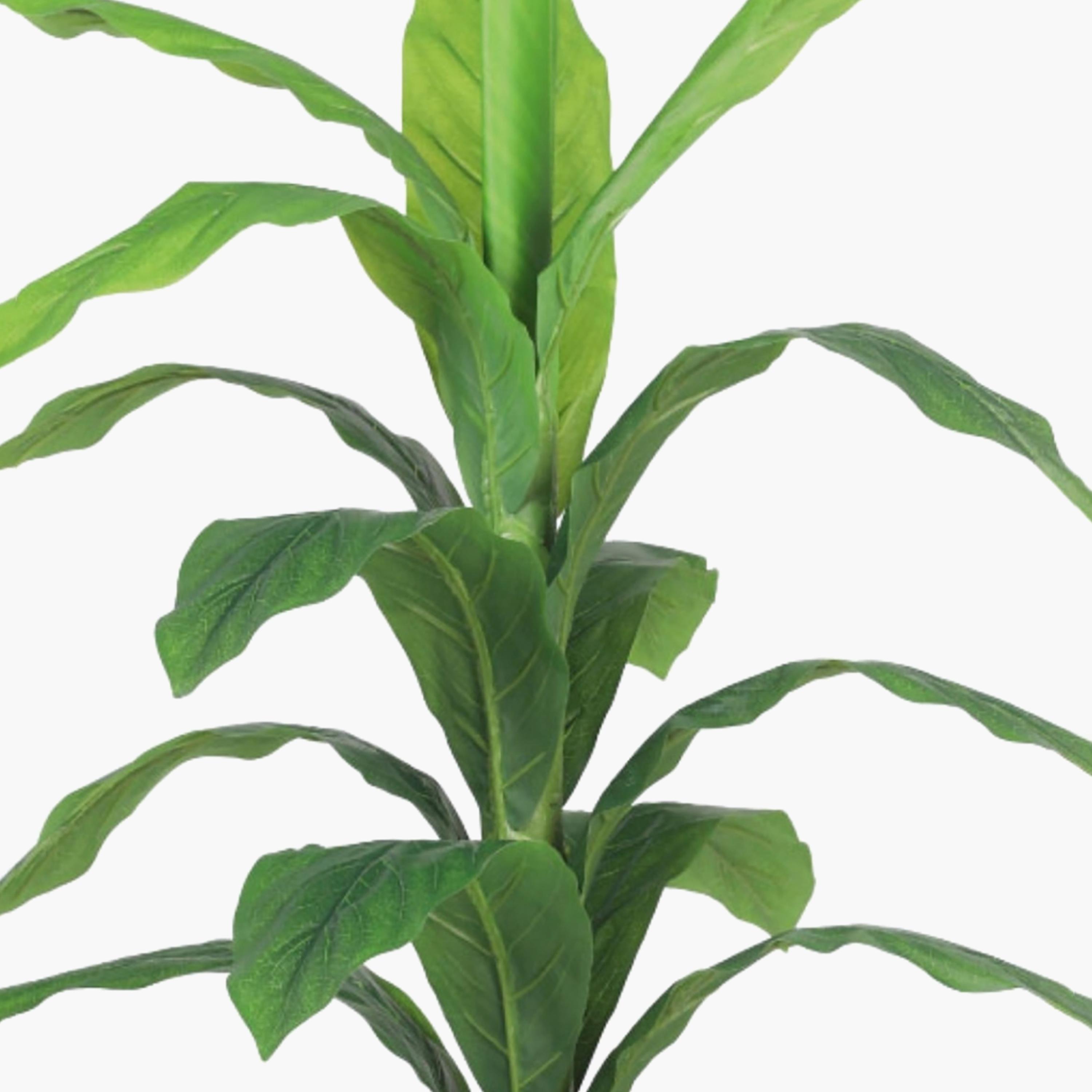 Maria Homes Potted Artificial Leaf Plant-household-gardenandoutdoor-artificialflowersandplants-flowers-image-3