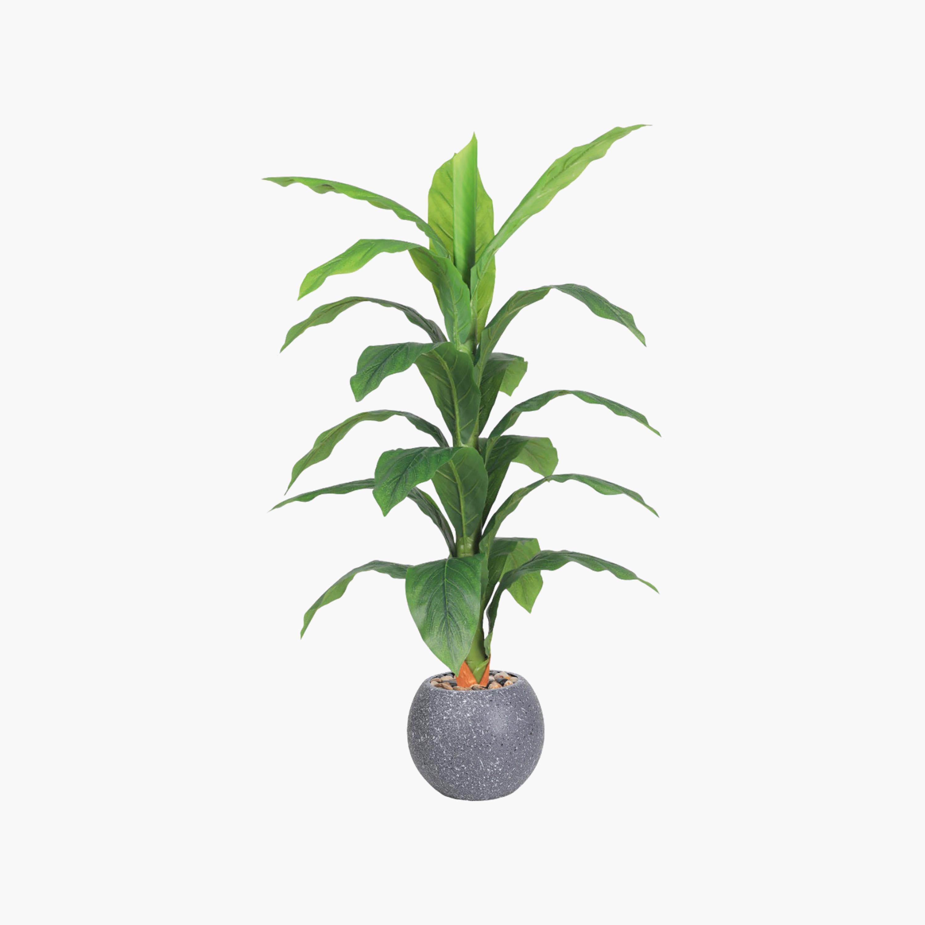 نبتة أوراق صناعية بأصيص من ماريا هومز-household-gardenandoutdoor-artificialflowersandplants-flowers-image-2