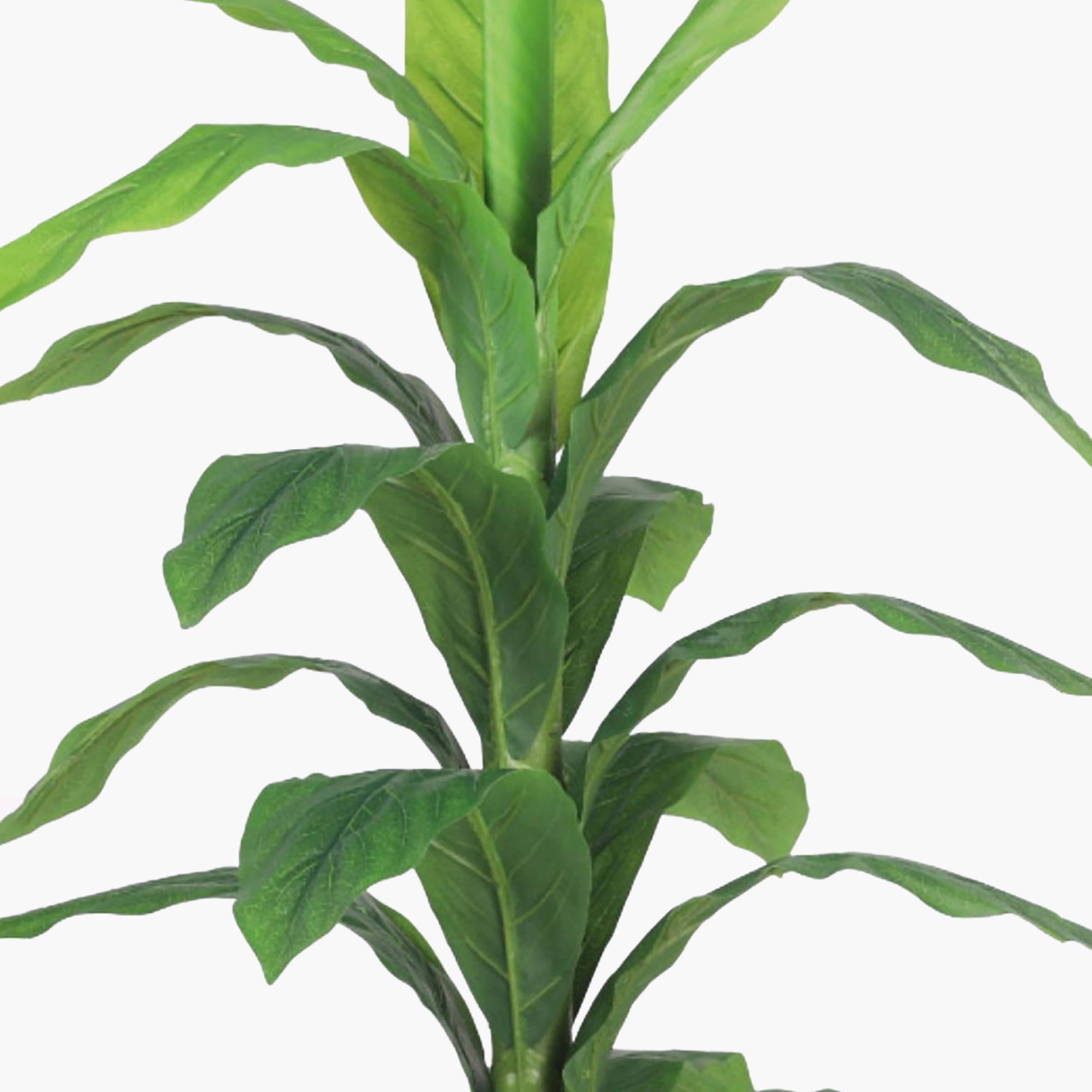 نبتة أوراق صناعية بأصيص من ماريا هومز-household-gardenandoutdoor-artificialflowersandplants-flowers-image-3
