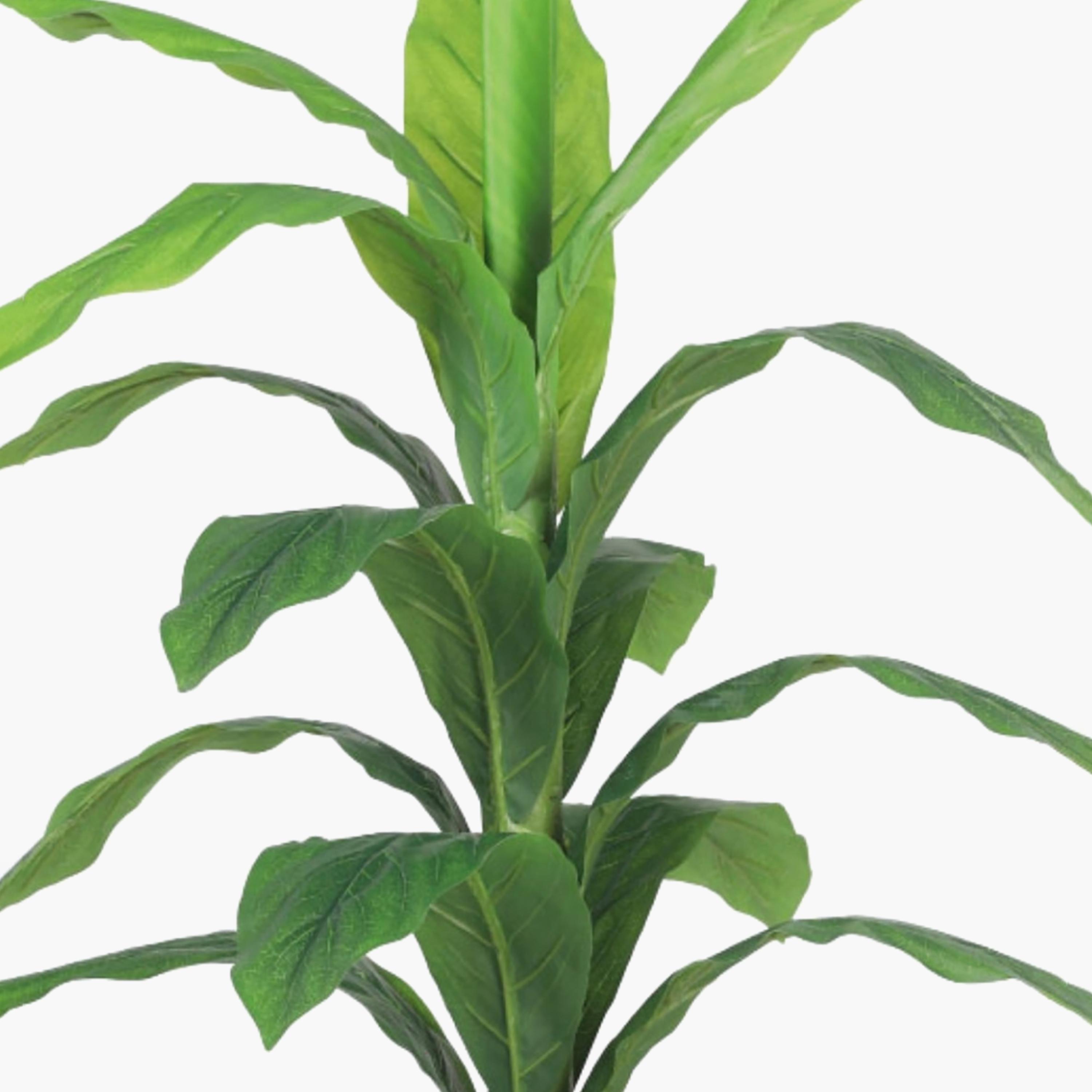 نبتة أوراق صناعية بأصيص من ماريا هومز-household-gardenandoutdoor-artificialflowersandplants-flowers-image-3
