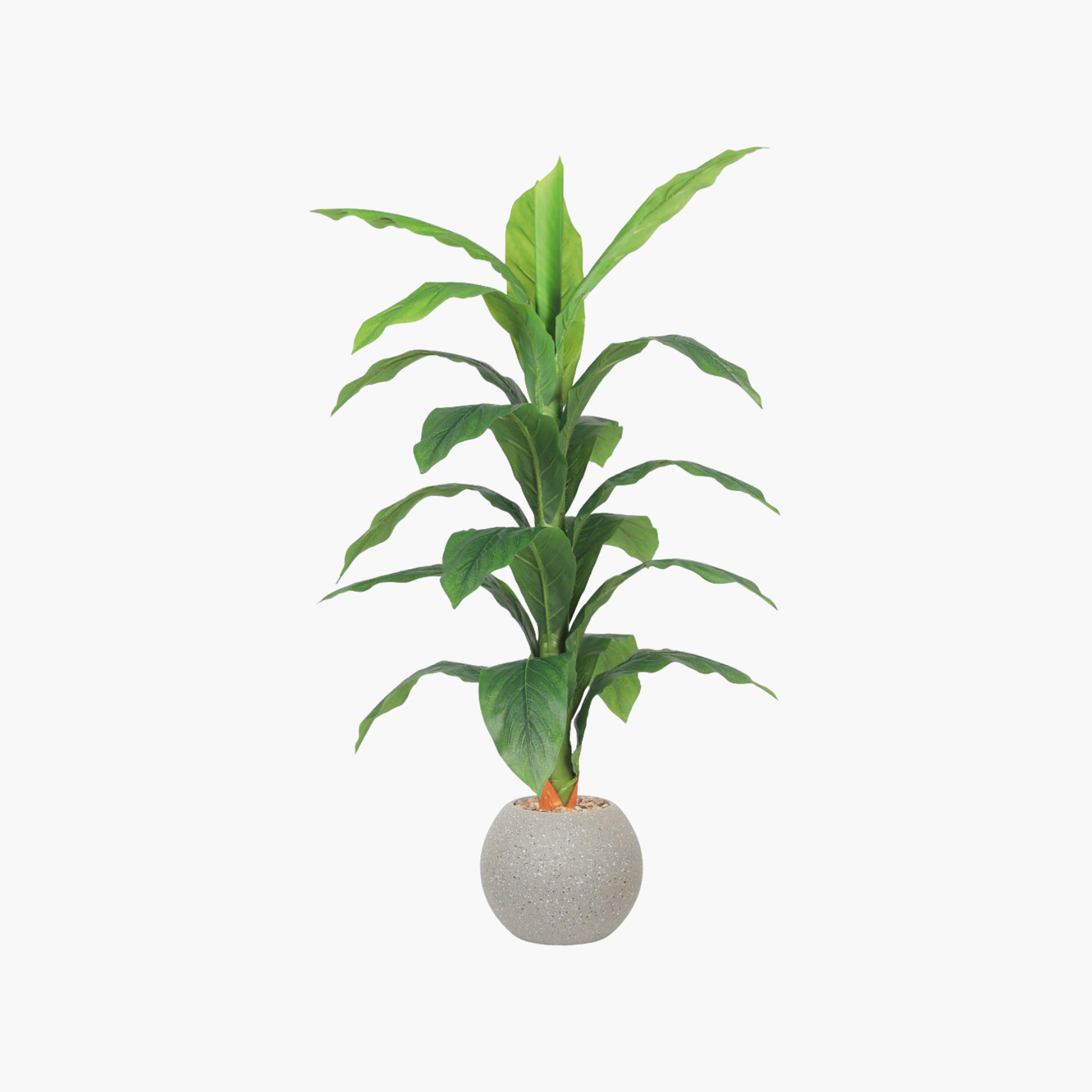 نبتة أوراق صناعية بأصيص من ماريا هومز-household-gardenandoutdoor-artificialflowersandplants-flowers-image-2