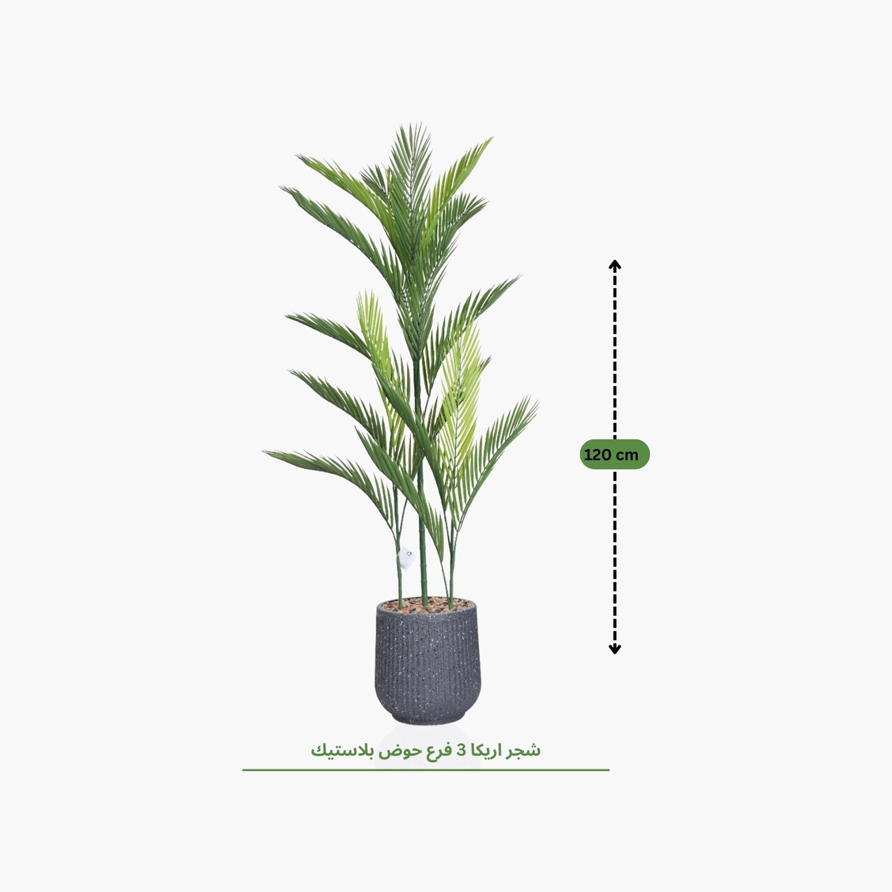 نبتة أريكا بالم صناعية بأصيص من ماريا هومز-household-gardenandoutdoor-artificialflowersandplants-flowers-image-4