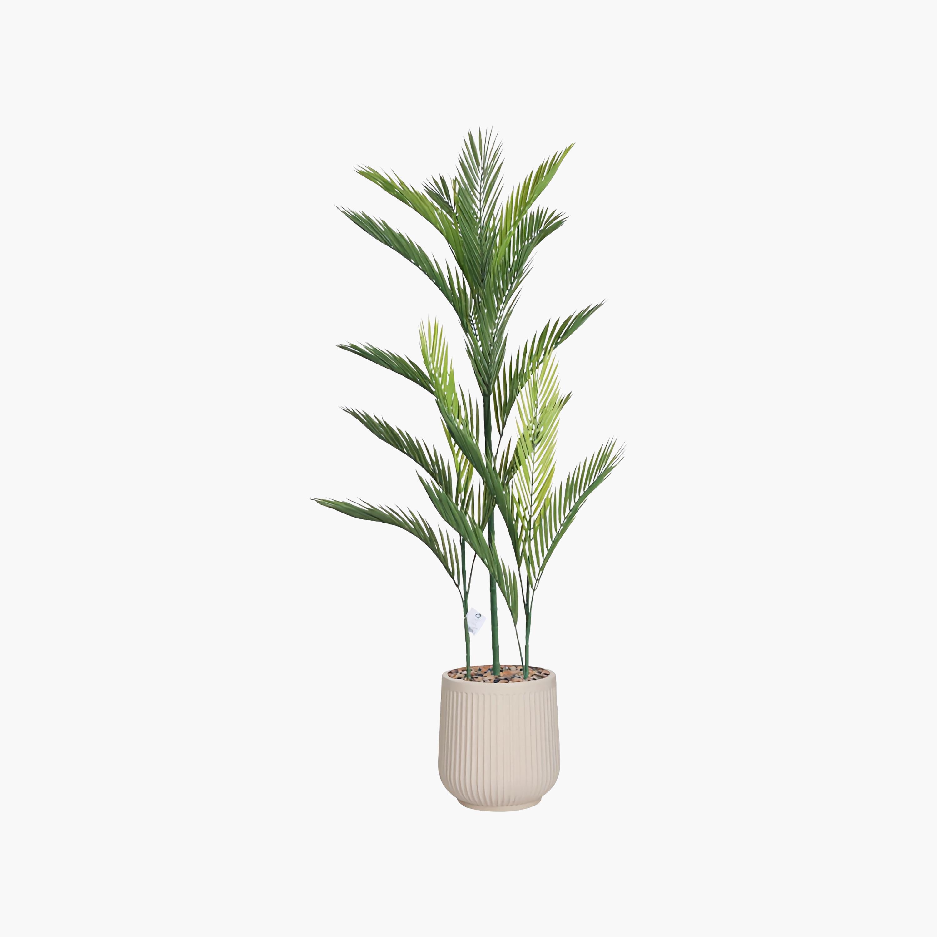 نبتة أريكا بالم صناعية بأصيص من ماريا هومز-household-gardenandoutdoor-artificialflowersandplants-flowers-image-2