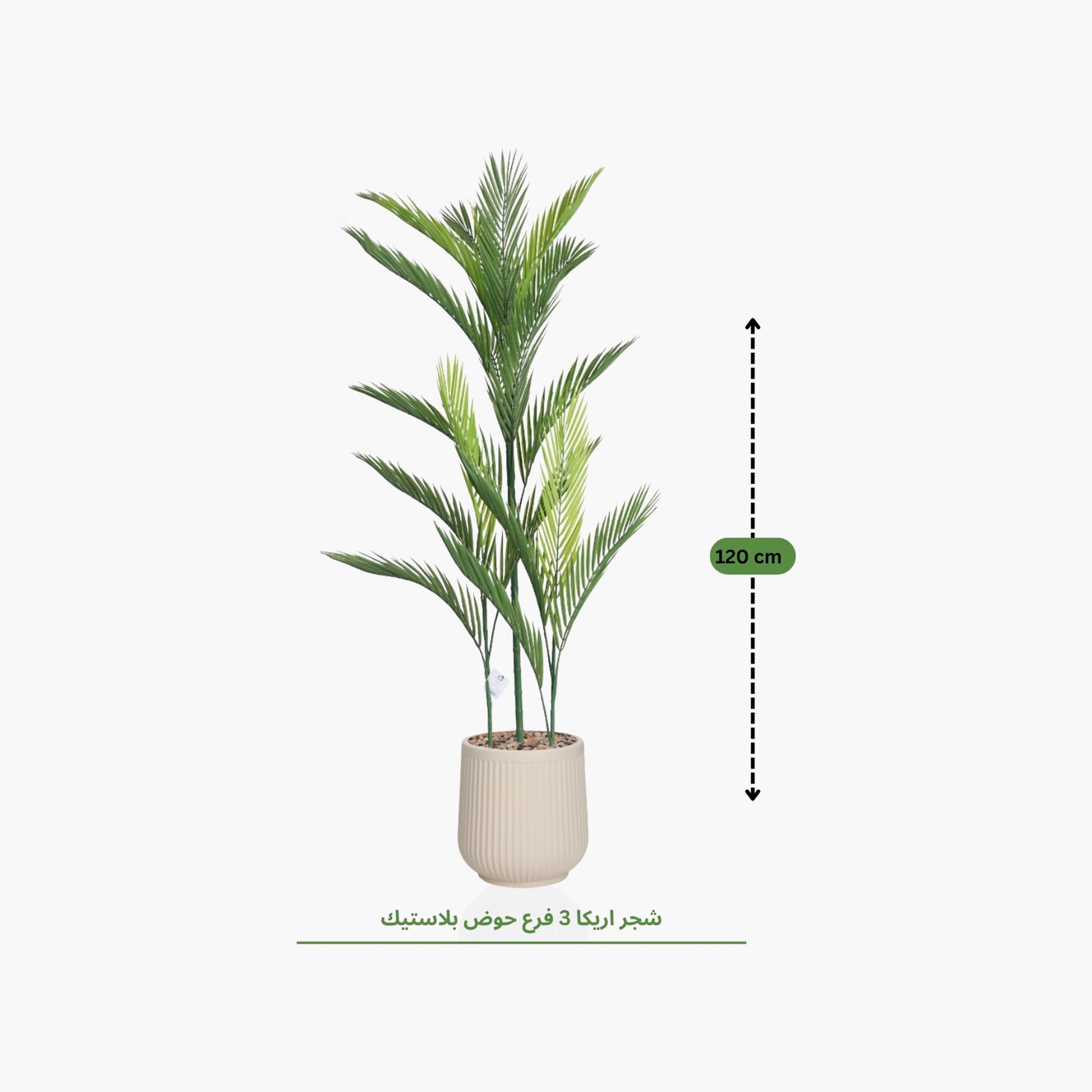 نبتة أريكا بالم صناعية بأصيص من ماريا هومز-household-gardenandoutdoor-artificialflowersandplants-flowers-image-4