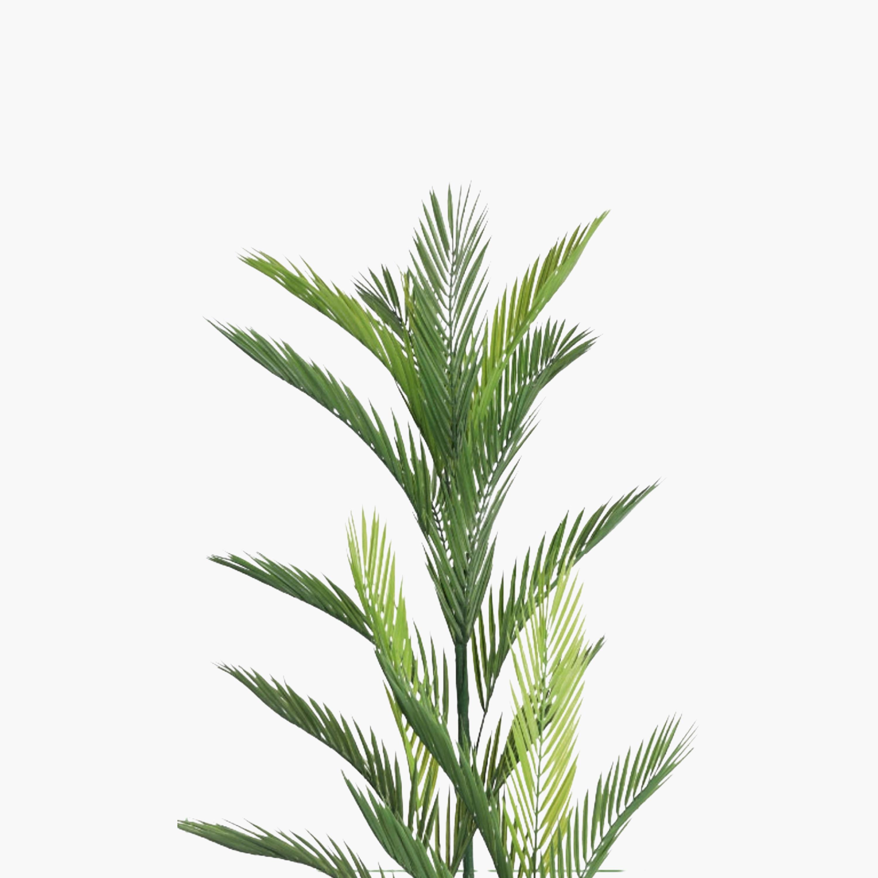 نبتة أريكا بالم صناعية بأصيص من ماريا هومز-household-gardenandoutdoor-artificialflowersandplants-flowers-image-3
