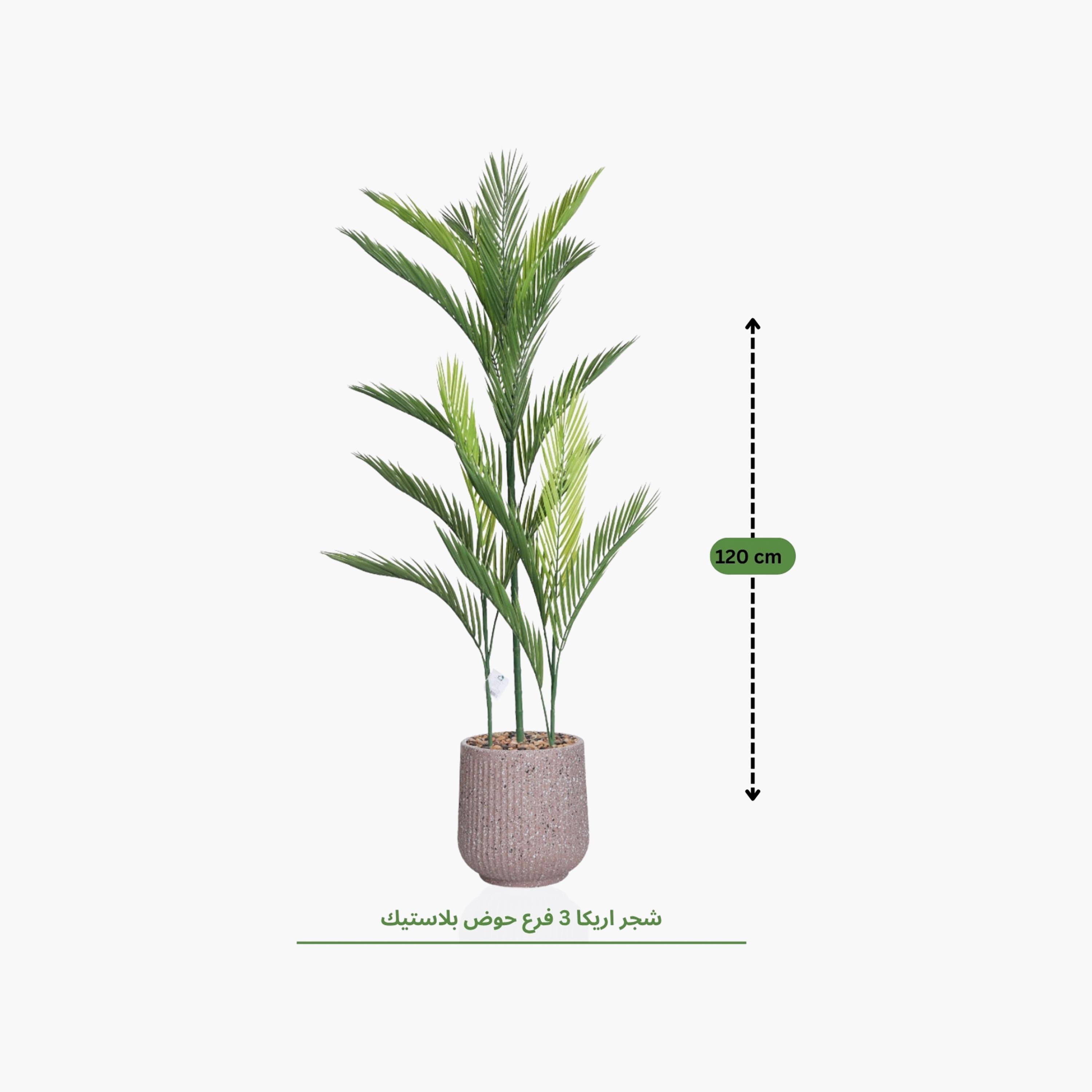 نبتة أريكا بالم صناعية بأصيص من ماريا هومز-household-gardenandoutdoor-artificialflowersandplants-flowers-image-4