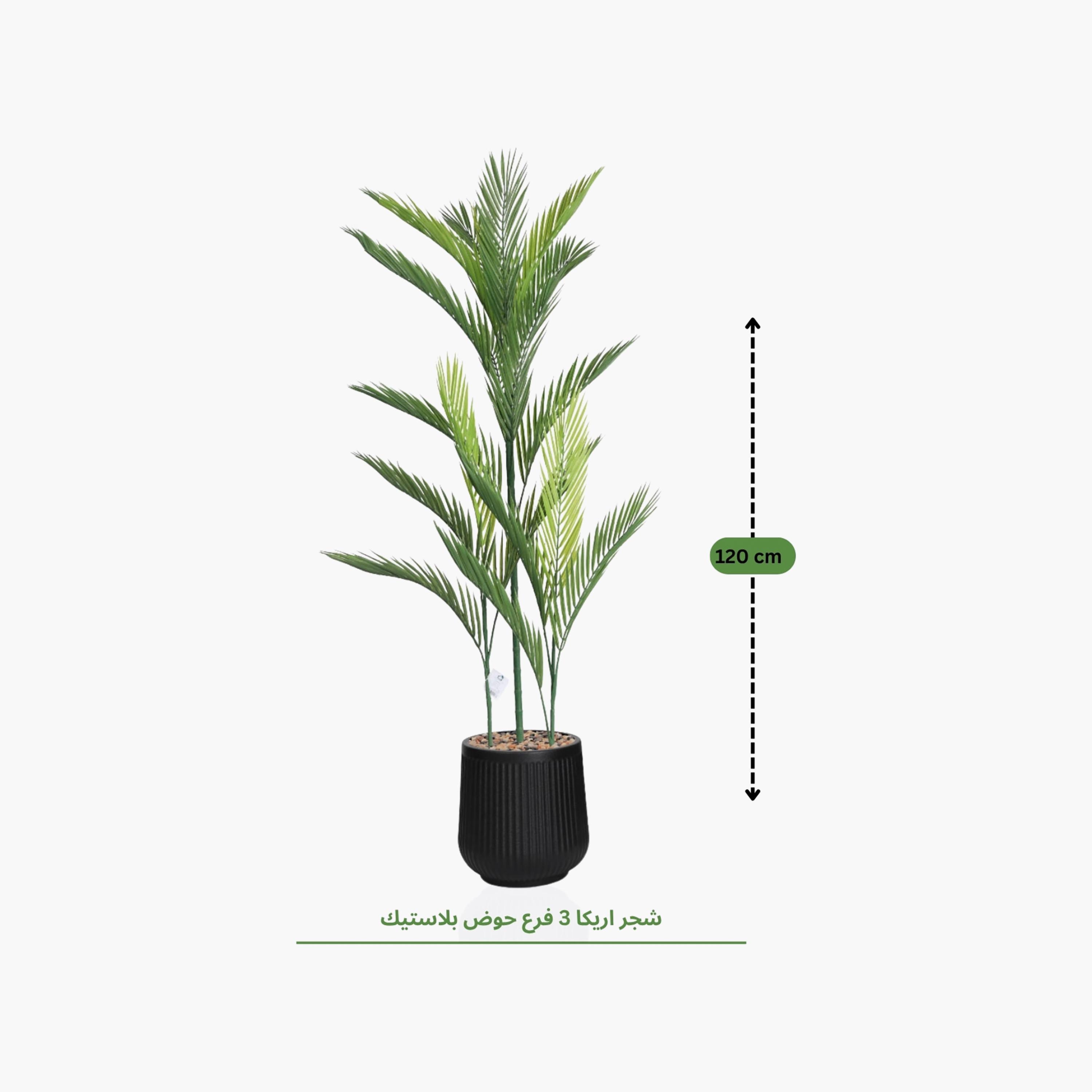 نبتة أريكا بالم صناعية بأصيص من ماريا هومز-household-gardenandoutdoor-artificialflowersandplants-flowers-image-4