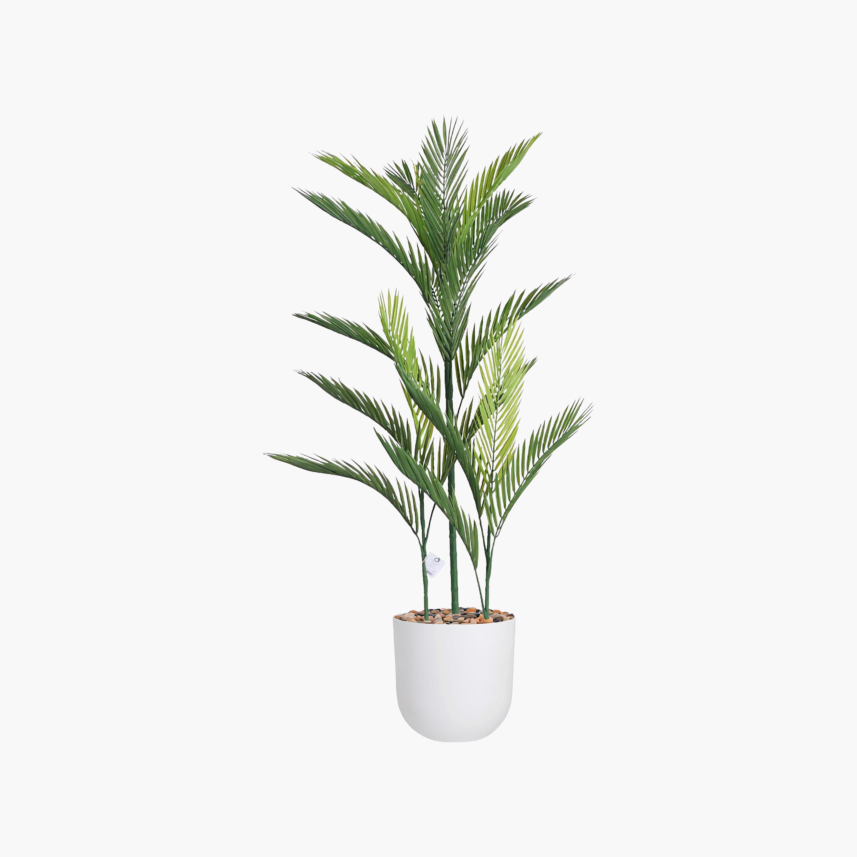 نبتة أريكا بالم صناعية بأصيص من ماريا هومز-household-gardenandoutdoor-artificialflowersandplants-flowers-image-2