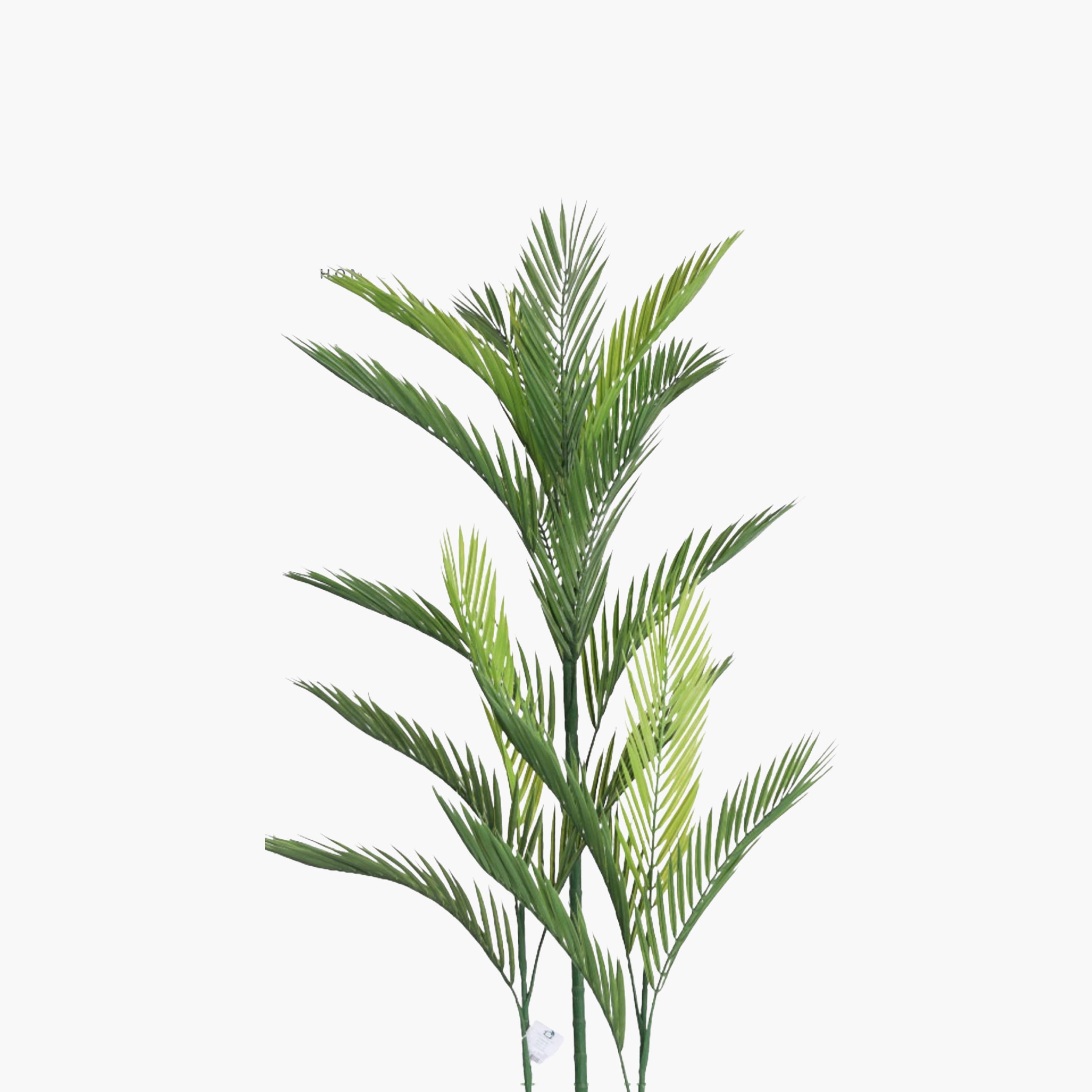 نبتة أريكا بالم صناعية بأصيص من ماريا هومز-household-gardenandoutdoor-artificialflowersandplants-flowers-image-3