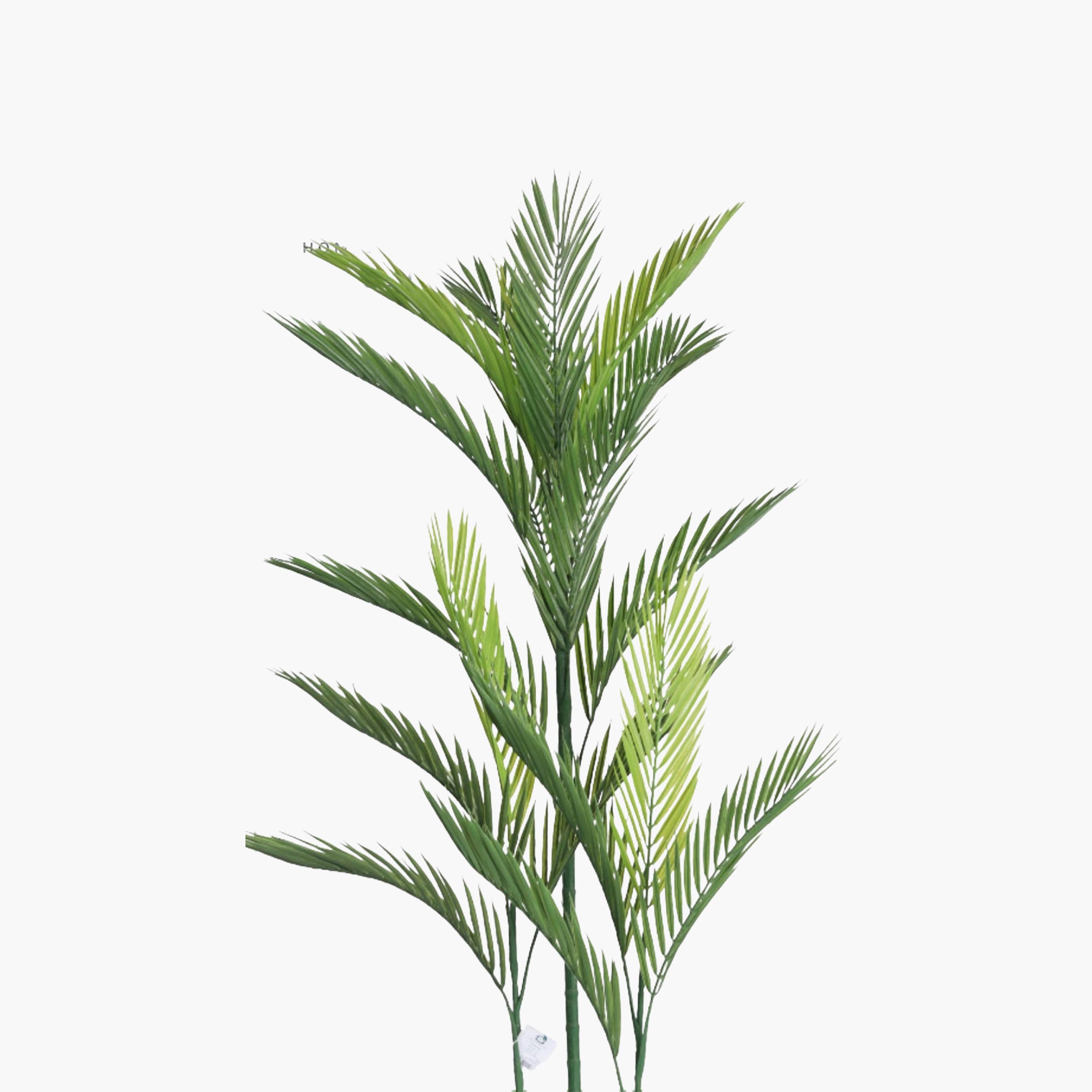 نبتة أريكا بالم صناعية بأصيص من ماريا هومز-household-gardenandoutdoor-artificialflowersandplants-flowers-image-3
