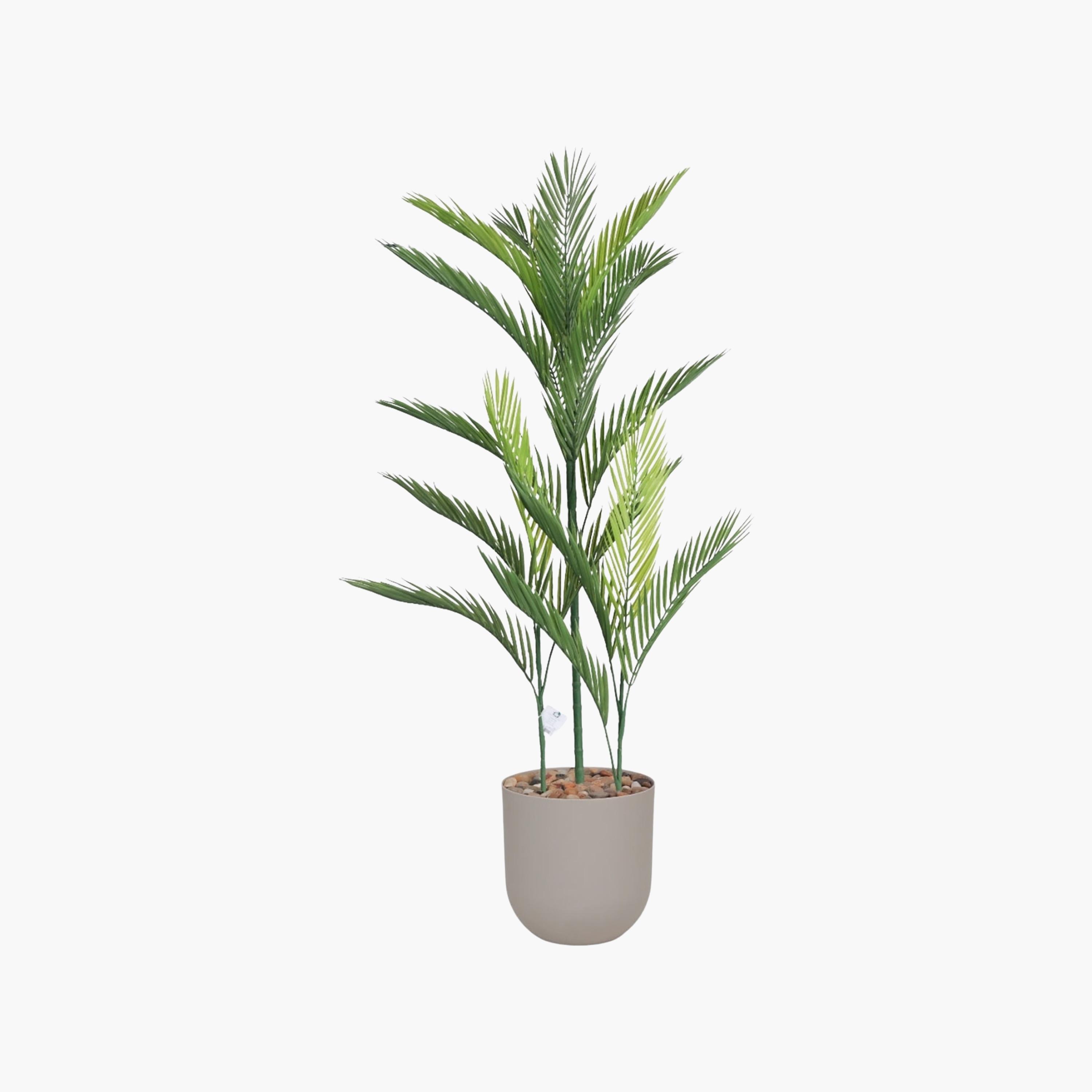 نبتة أريكا بالم صناعية بأصيص من ماريا هومز-household-gardenandoutdoor-artificialflowersandplants-flowers-image-2