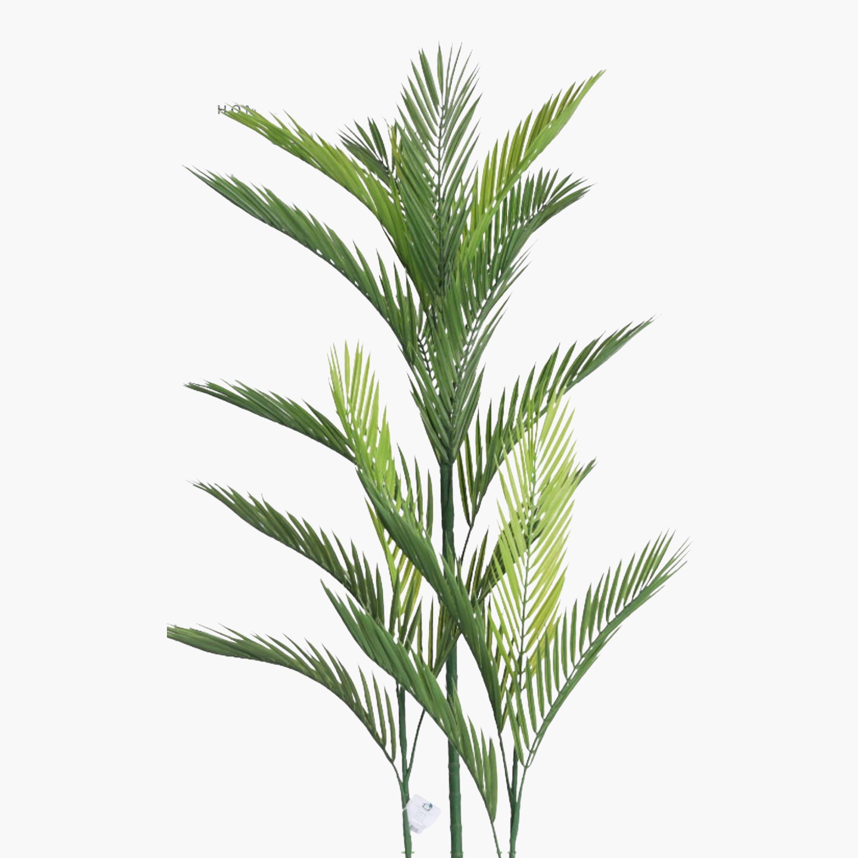 نبتة أريكا بالم صناعية بأصيص من ماريا هومز-household-gardenandoutdoor-artificialflowersandplants-flowers-image-3