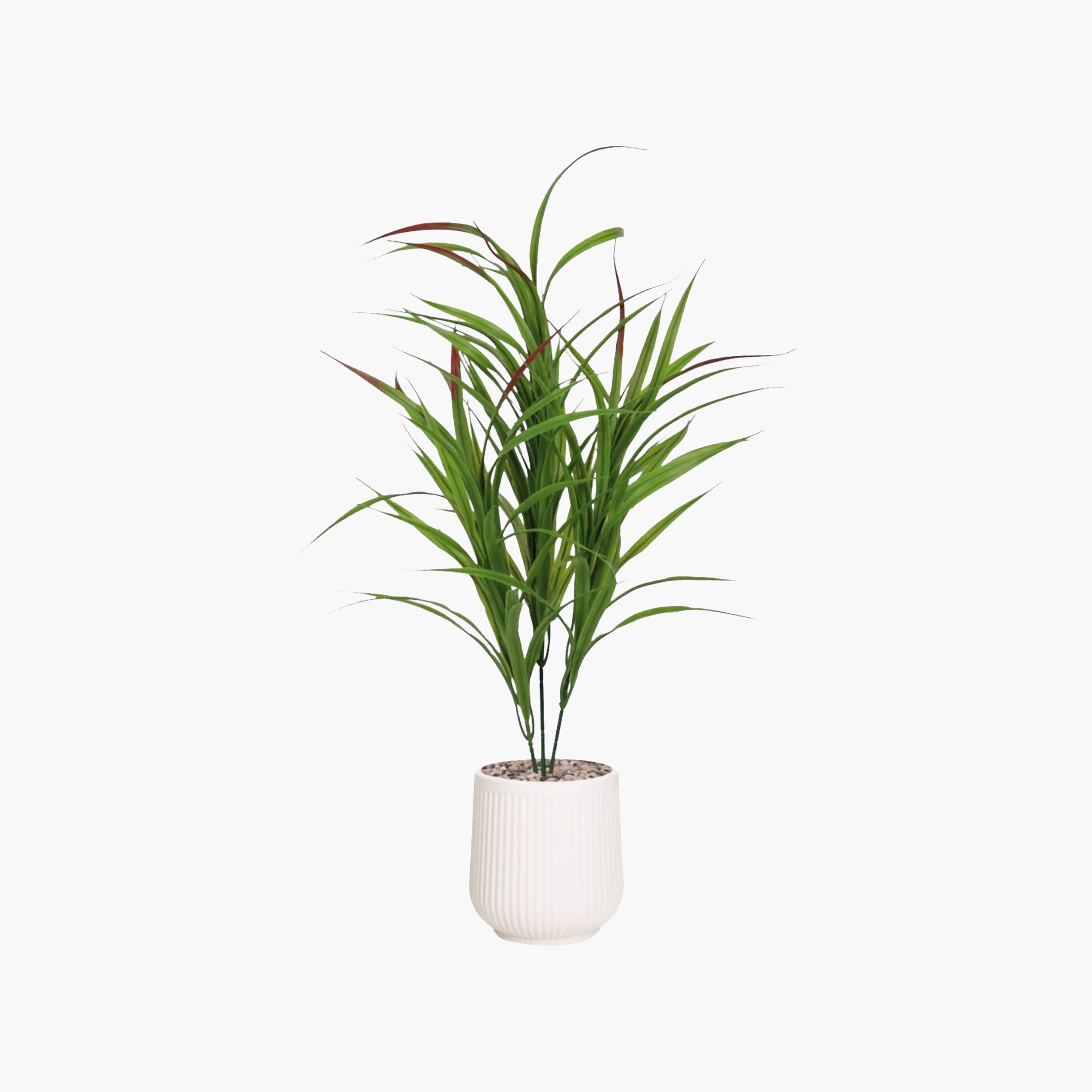 Maria Homes Potted Artificial Cordyline Plant-household-gardenandoutdoor-artificialflowersandplants-flowers-image-2