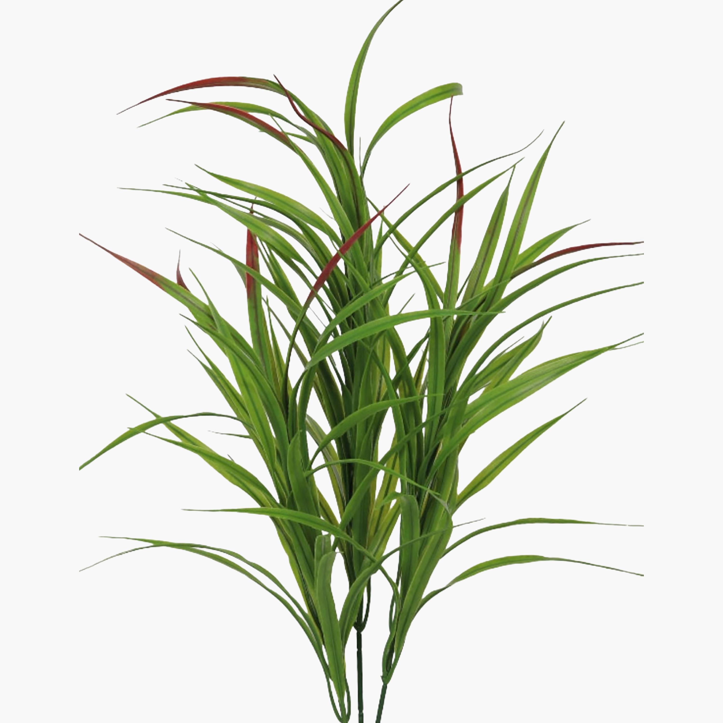 Maria Homes Potted Artificial Cordyline Plant-household-gardenandoutdoor-artificialflowersandplants-flowers-image-3
