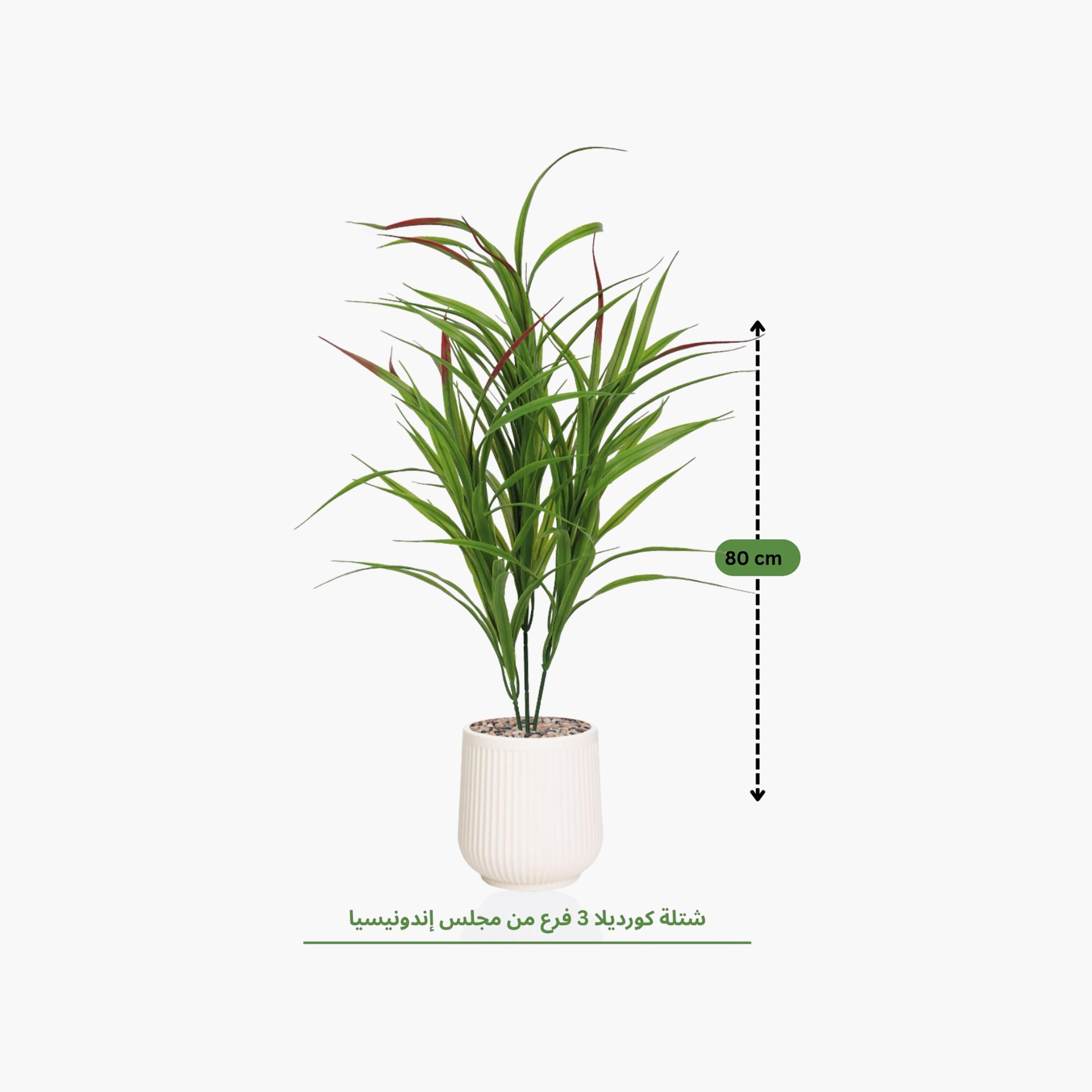 Maria Homes Potted Artificial Cordyline Plant-household-gardenandoutdoor-artificialflowersandplants-flowers-image-4
