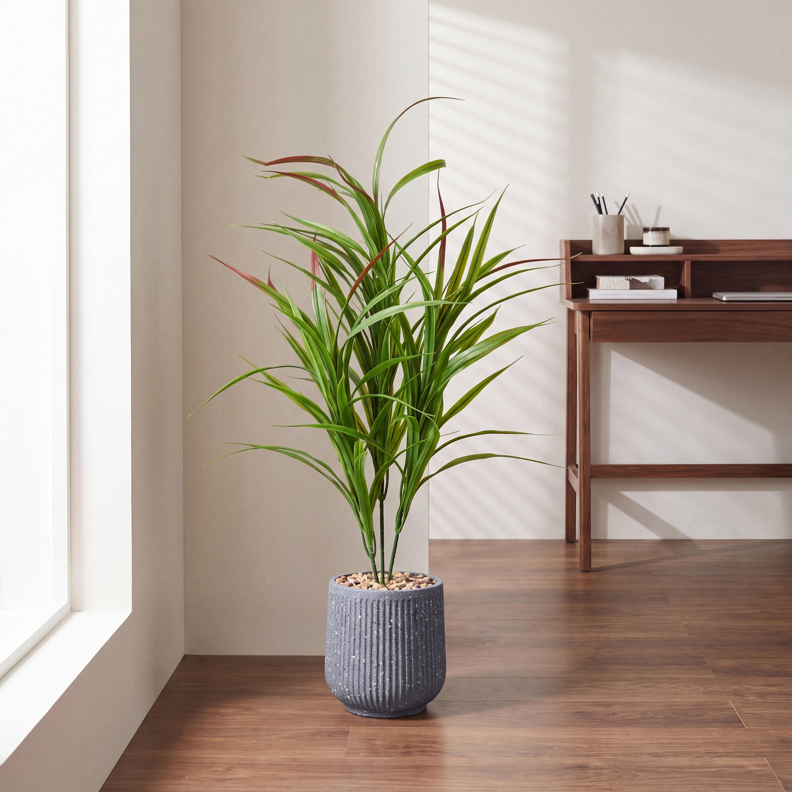 Maria Homes Potted Artificial Cordyline Plant-household-gardenandoutdoor-artificialflowersandplants-flowers-image-1
