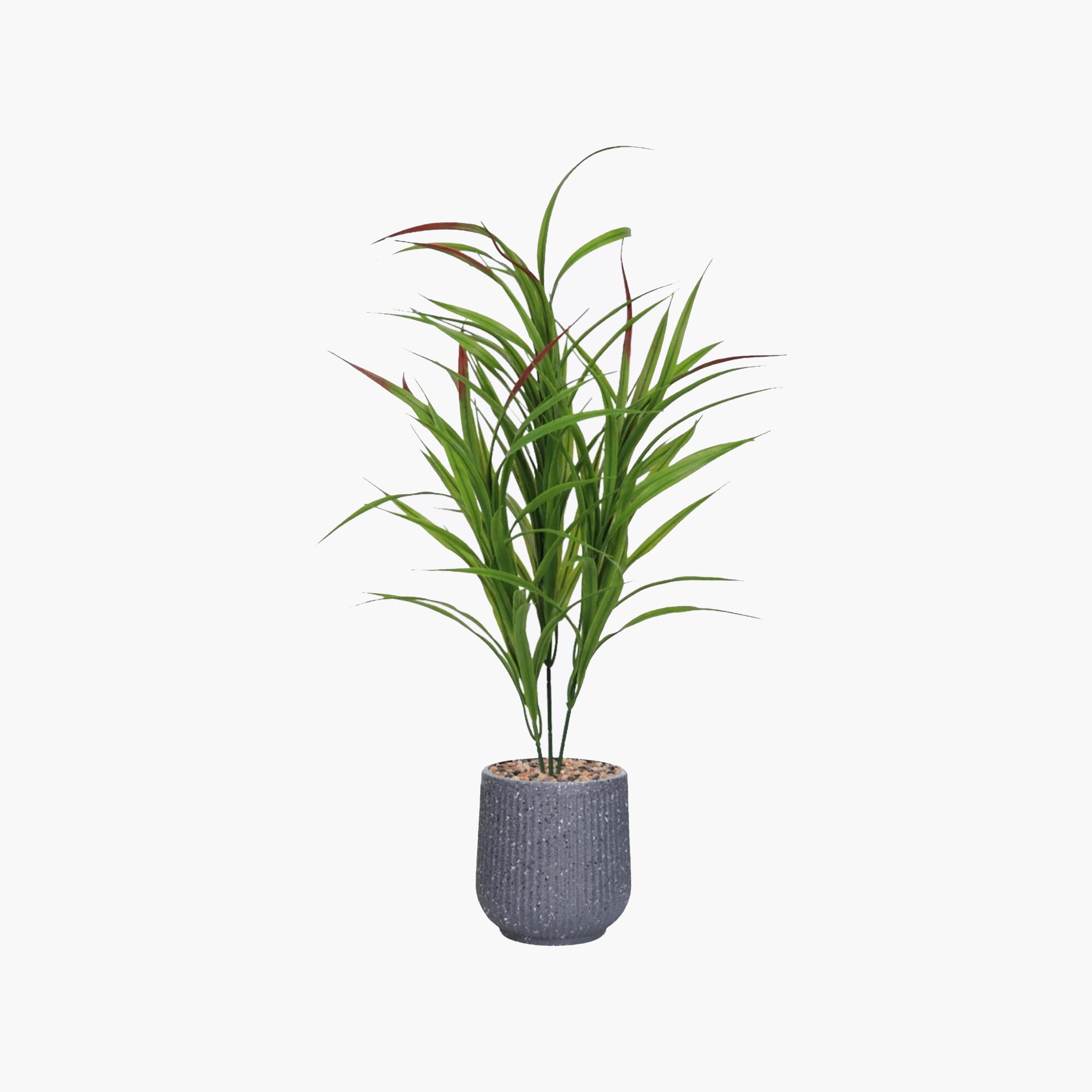 Maria Homes Potted Artificial Cordyline Plant-household-gardenandoutdoor-artificialflowersandplants-flowers-image-2