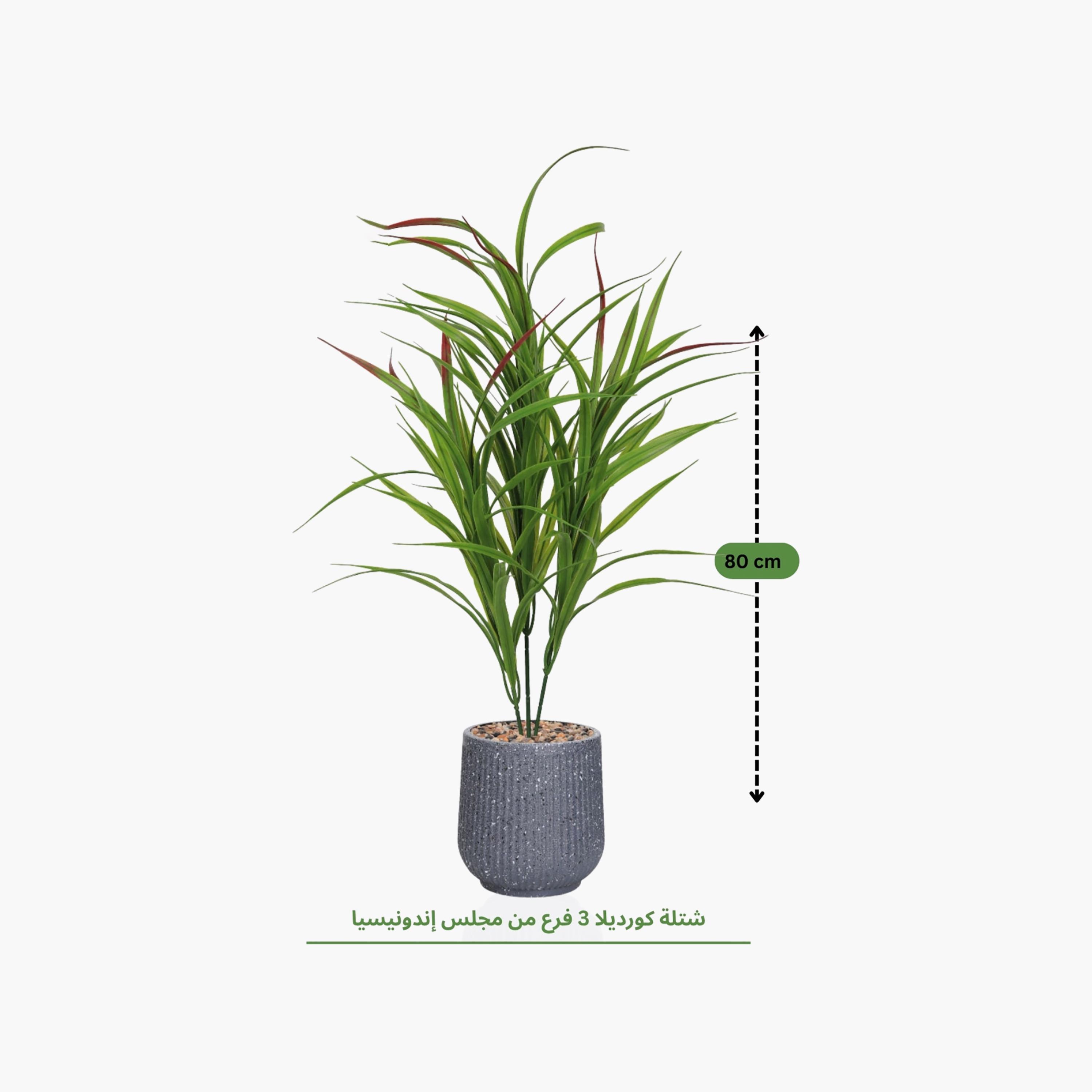 Maria Homes Potted Artificial Cordyline Plant-household-gardenandoutdoor-artificialflowersandplants-flowers-image-4