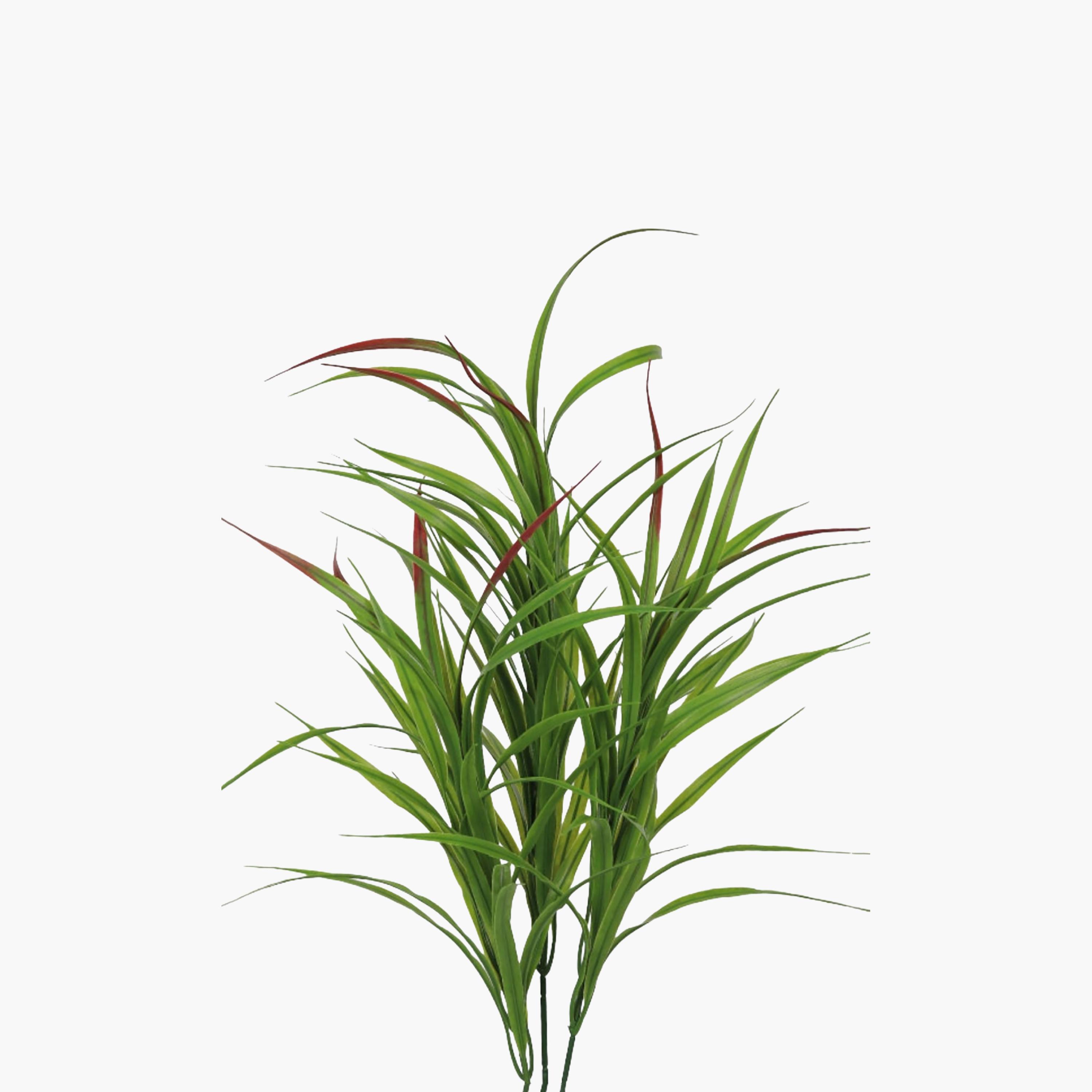 Maria Homes Potted Artificial Cordyline Plant-household-gardenandoutdoor-artificialflowersandplants-flowers-image-3