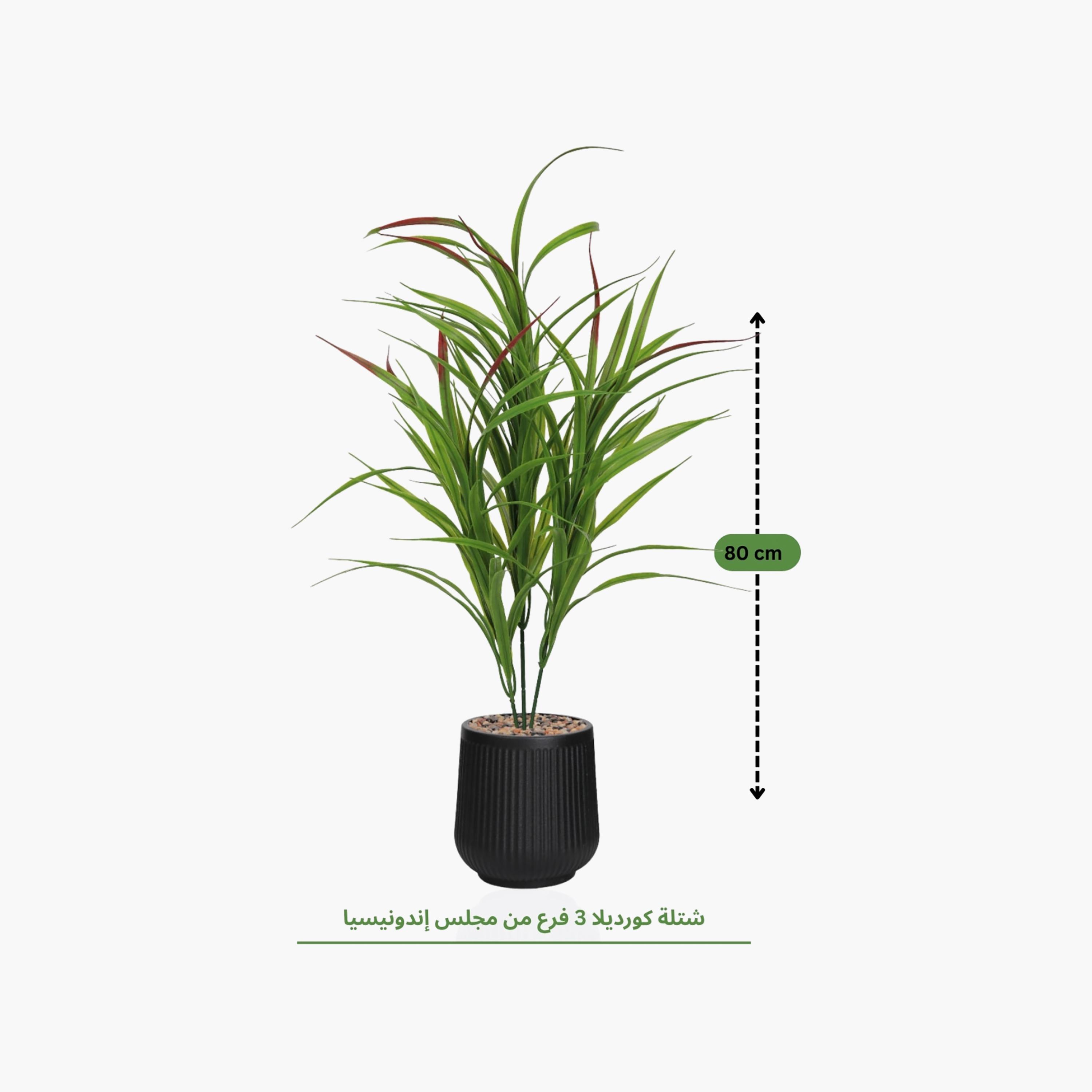 Maria Homes Potted Artificial Cordyline Plant-household-gardenandoutdoor-artificialflowersandplants-flowers-image-4