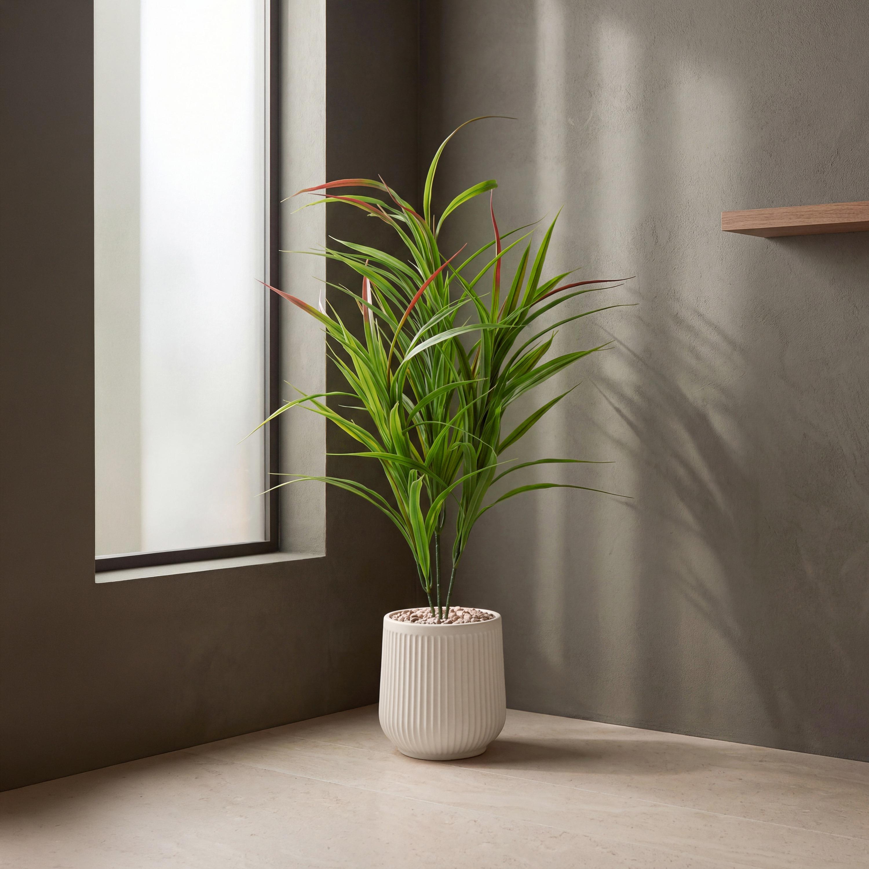Maria Homes Potted Artificial Cordyline Plant-household-gardenandoutdoor-artificialflowersandplants-flowers-image-1