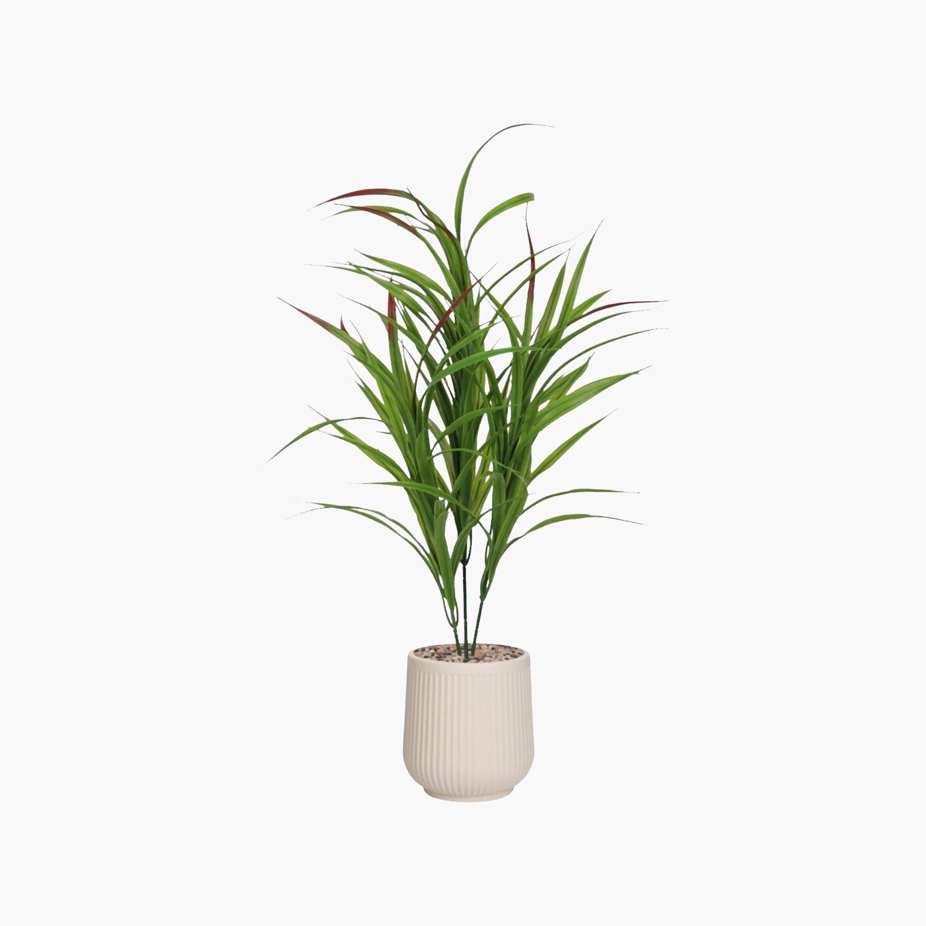 Maria Homes Potted Artificial Cordyline Plant-household-gardenandoutdoor-artificialflowersandplants-flowers-image-2