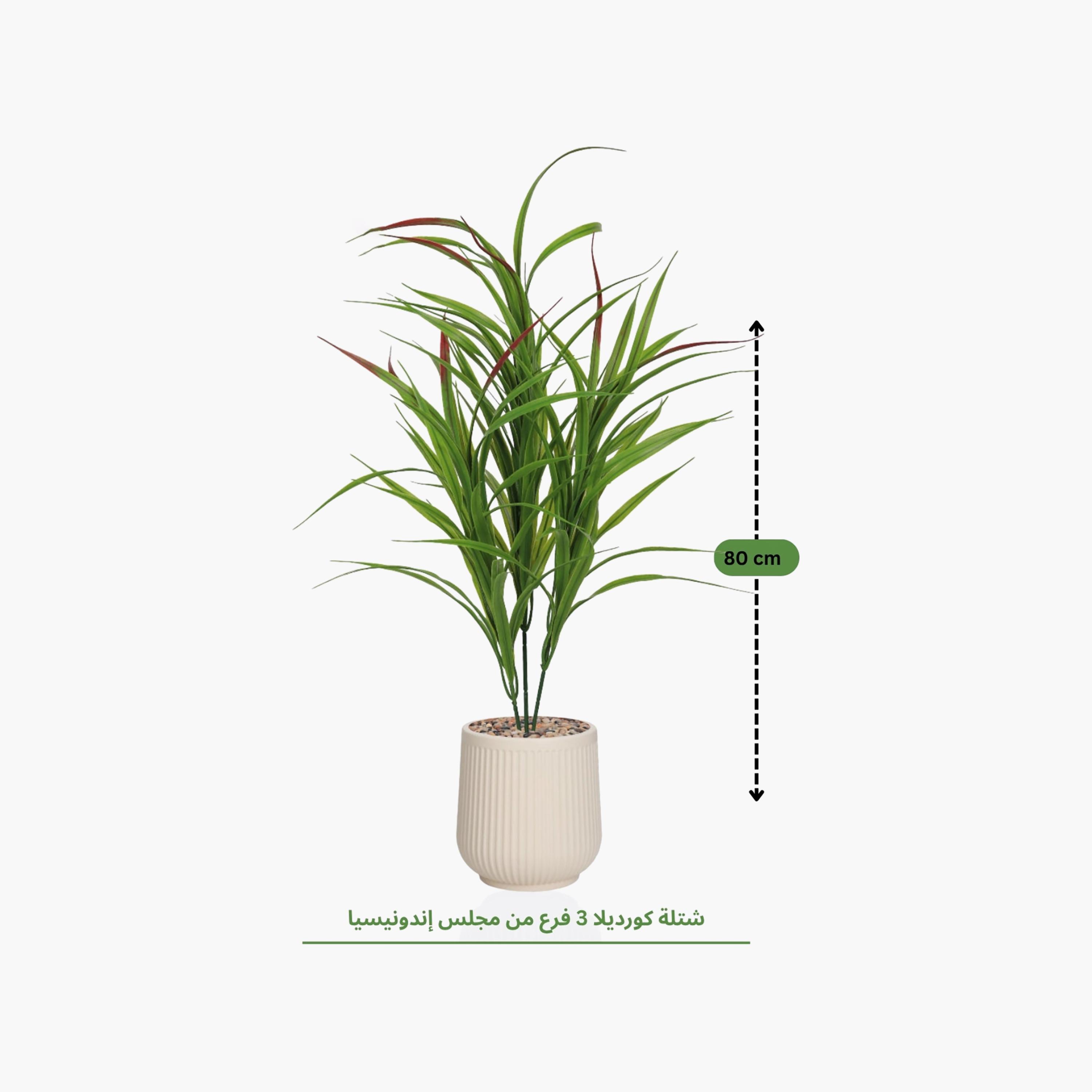 Maria Homes Potted Artificial Cordyline Plant-household-gardenandoutdoor-artificialflowersandplants-flowers-image-4