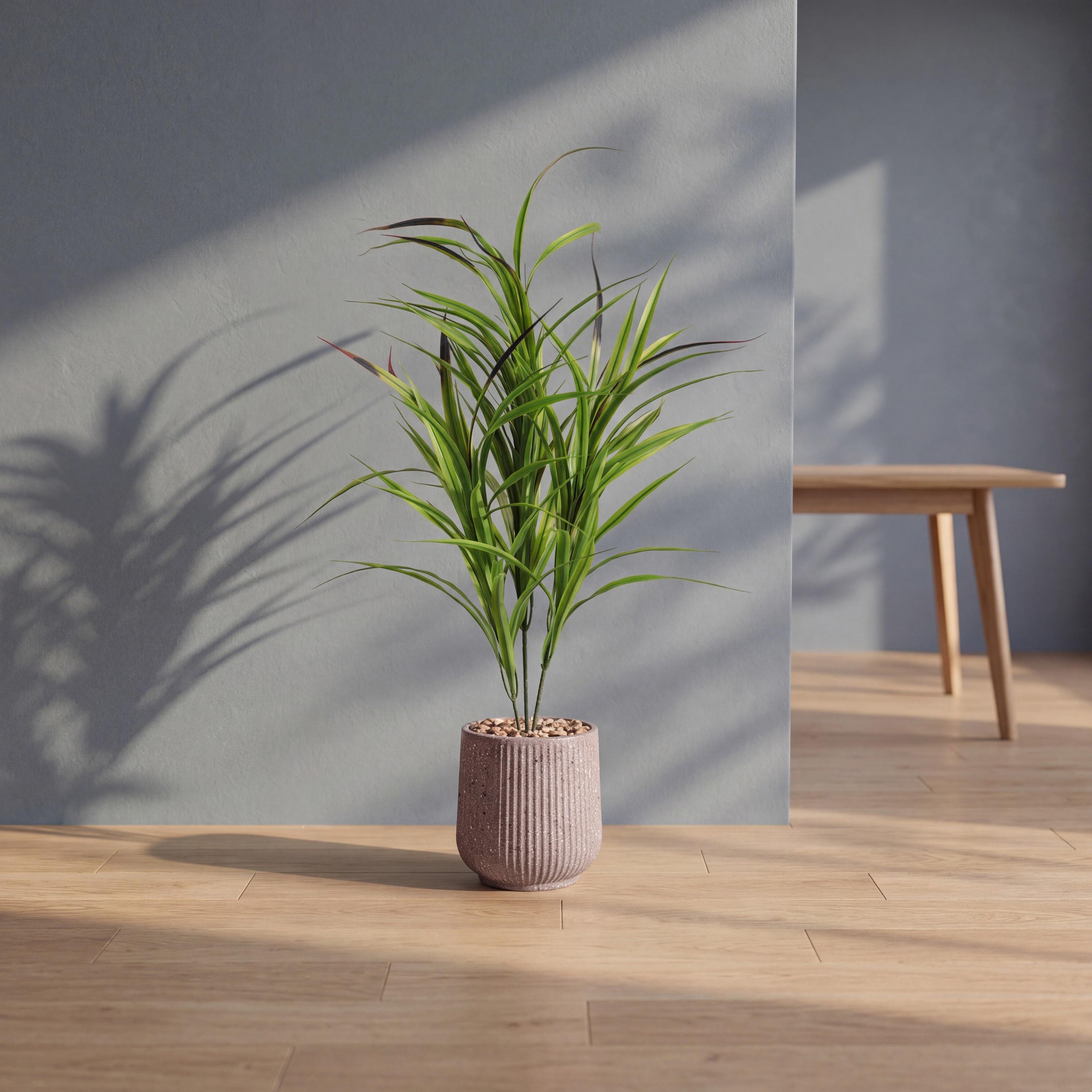 Maria Homes Potted Artificial Cordyline Plant-household-gardenandoutdoor-artificialflowersandplants-flowers-image-1
