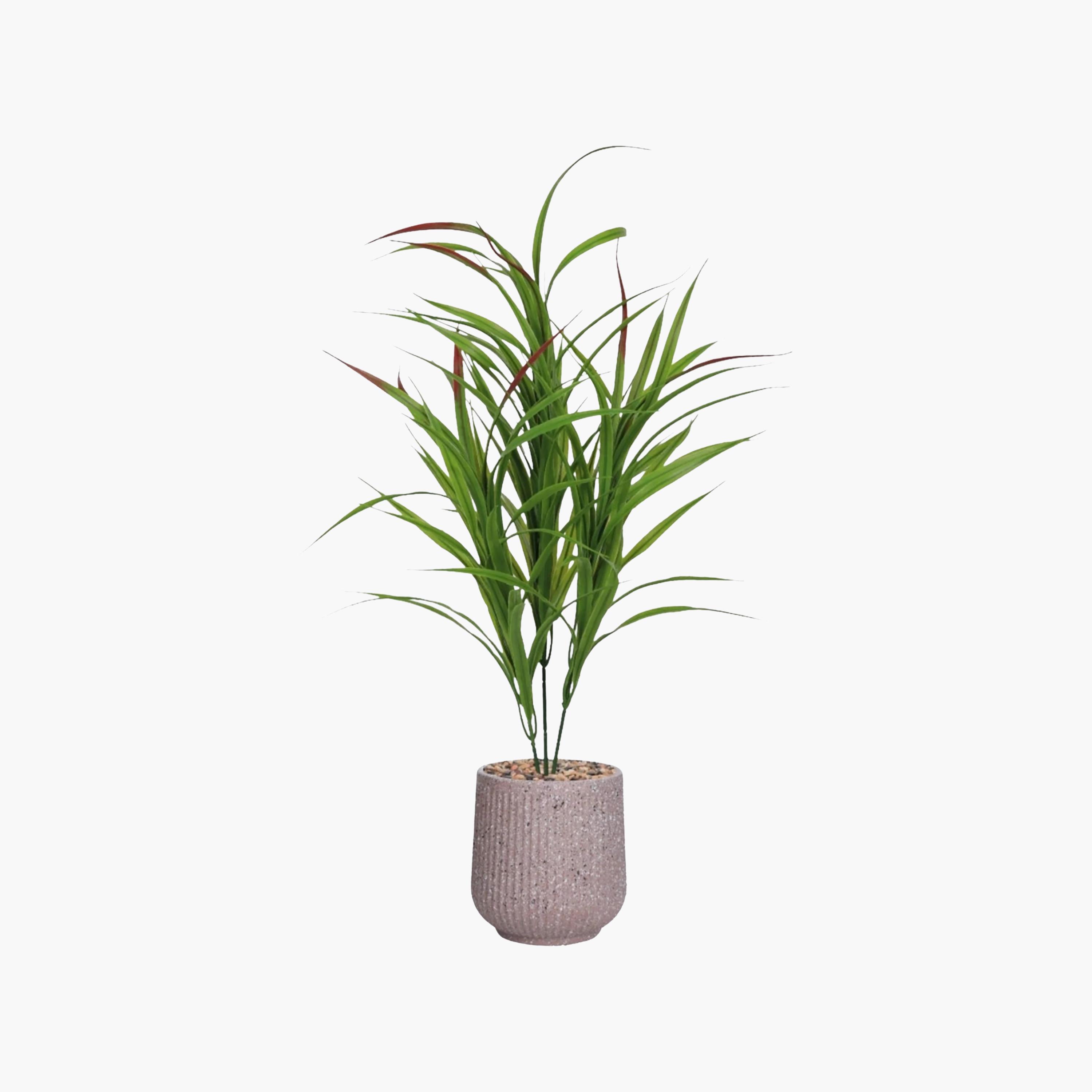Maria Homes Potted Artificial Cordyline Plant-household-gardenandoutdoor-artificialflowersandplants-flowers-image-2