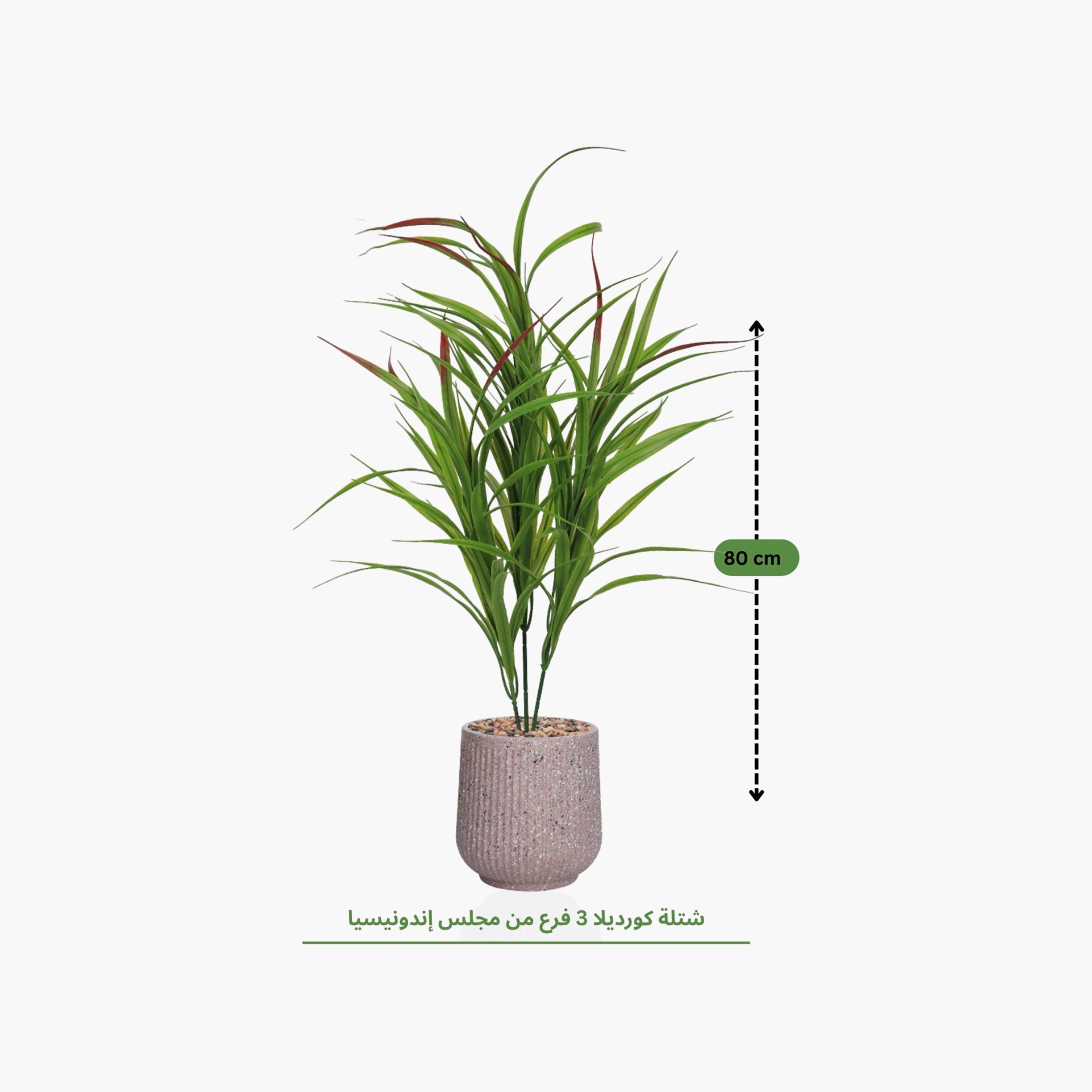 Maria Homes Potted Artificial Cordyline Plant-household-gardenandoutdoor-artificialflowersandplants-flowers-image-4