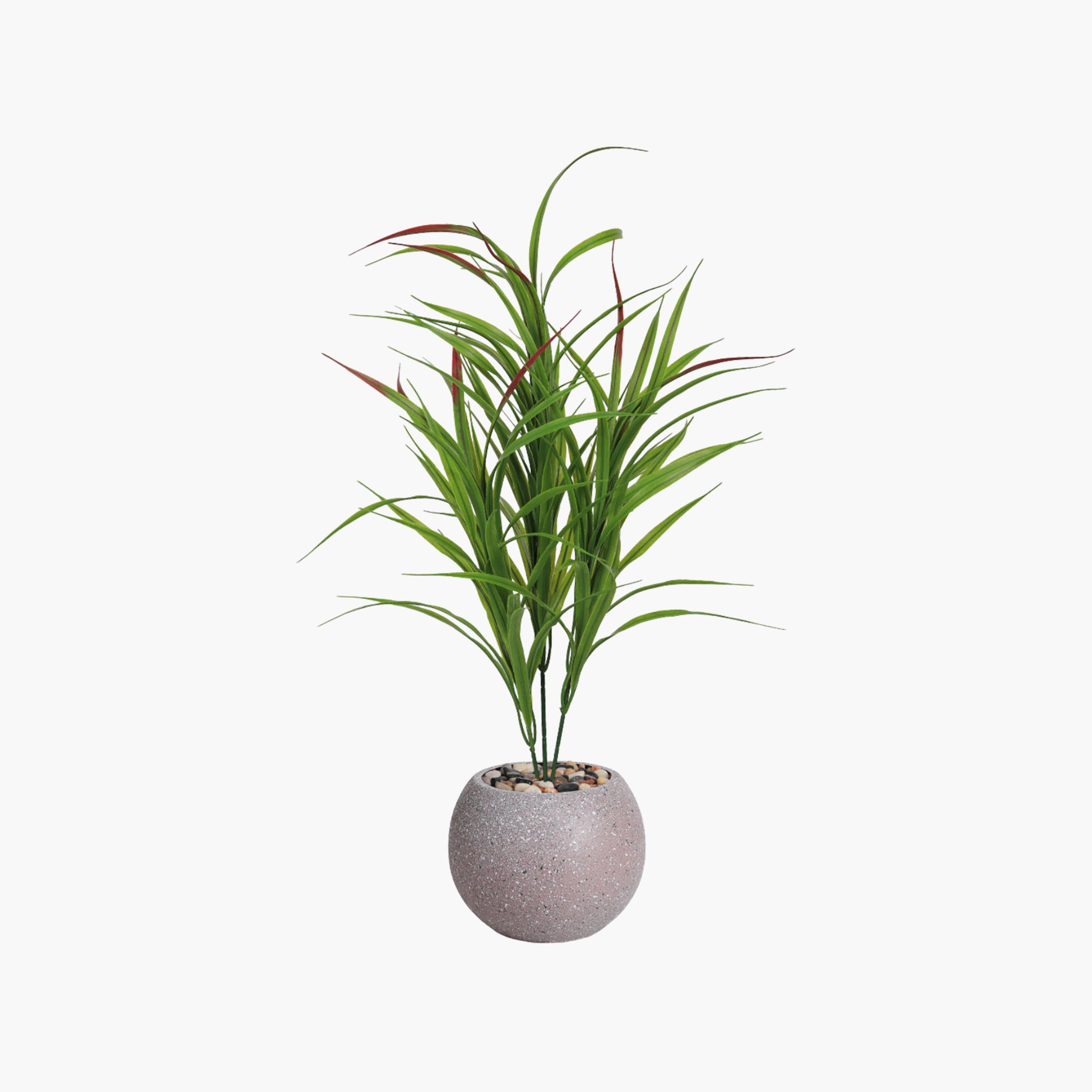 نبتة كوردلين صناعية بأصيص من ماريا هومز-household-gardenandoutdoor-artificialflowersandplants-flowers-image-2