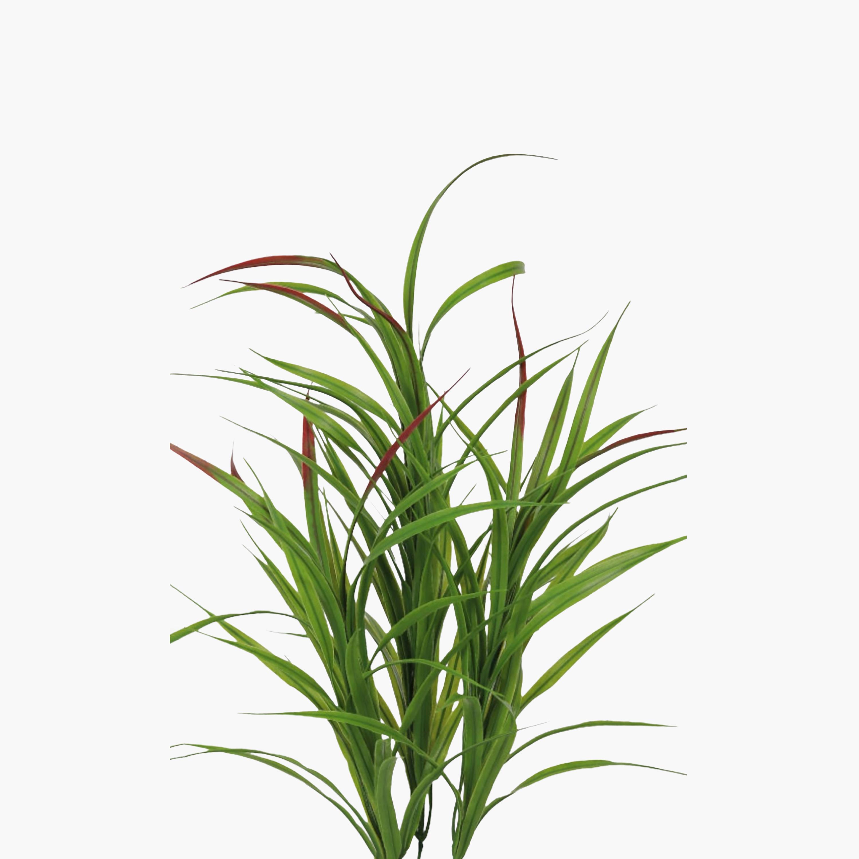 نبتة كوردلين صناعية بأصيص من ماريا هومز-household-gardenandoutdoor-artificialflowersandplants-flowers-image-3