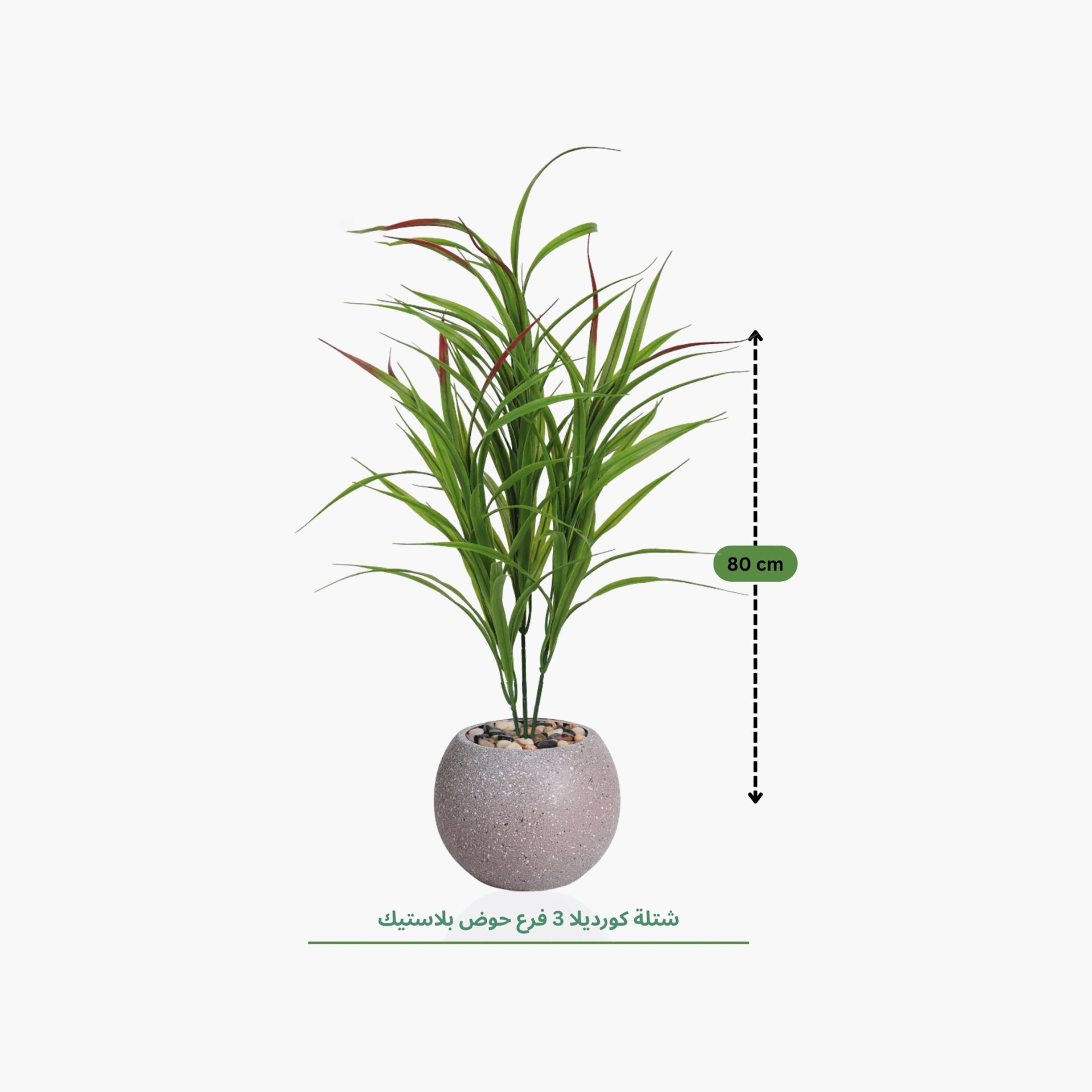 نبتة كوردلين صناعية بأصيص من ماريا هومز-household-gardenandoutdoor-artificialflowersandplants-flowers-image-4
