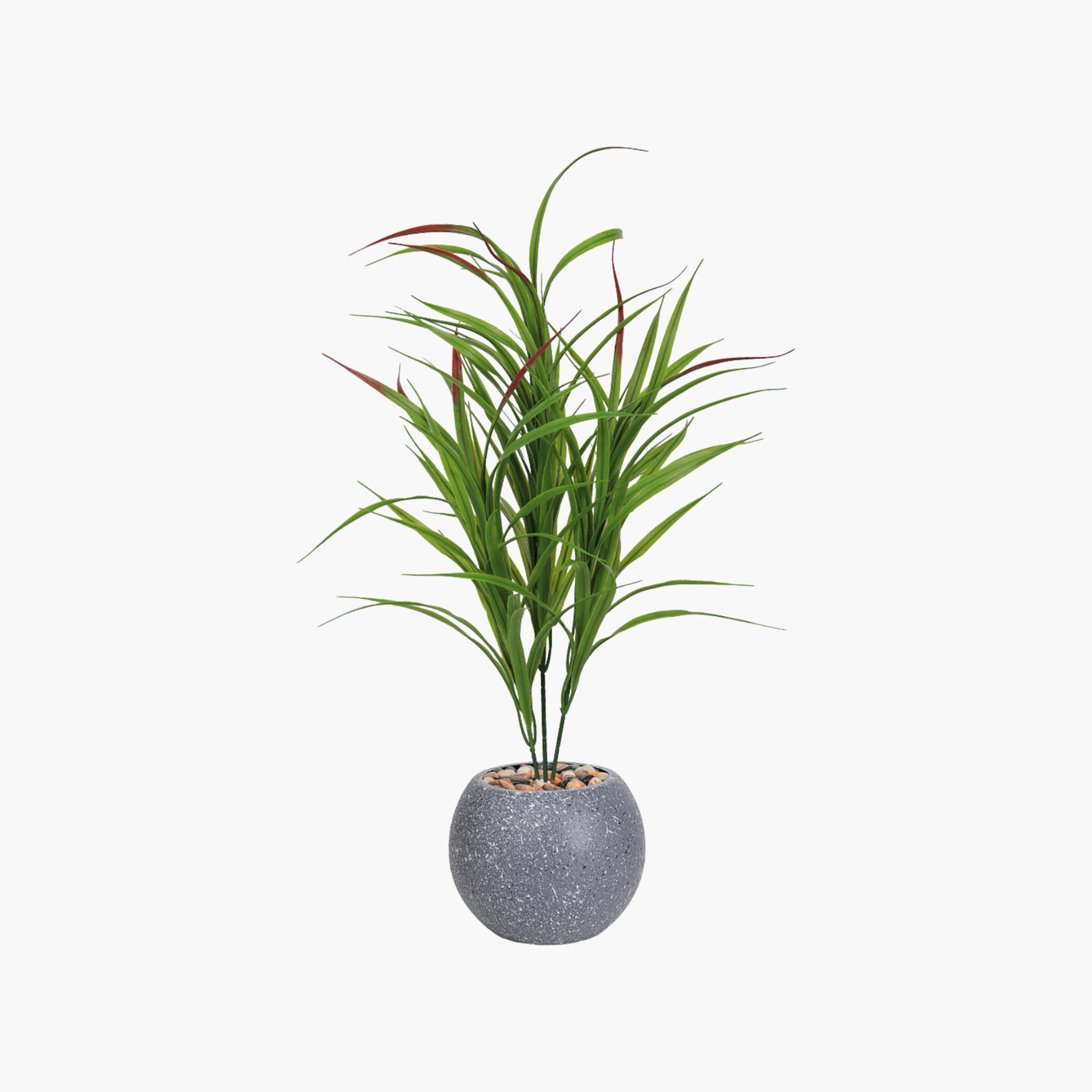 Maria Homes Potted Artificial Cordyline Plant-household-gardenandoutdoor-artificialflowersandplants-flowers-image-2