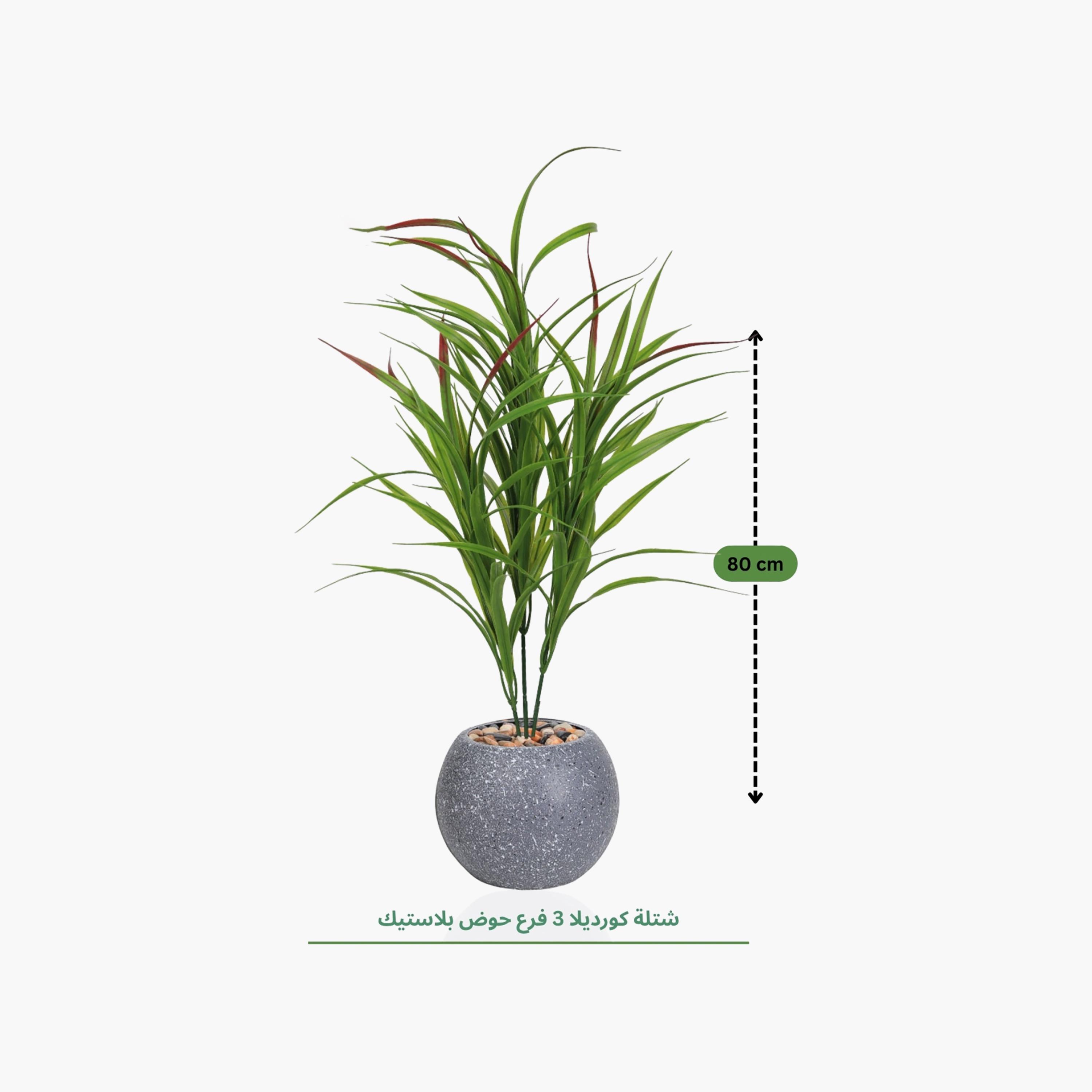 Maria Homes Potted Artificial Cordyline Plant-household-gardenandoutdoor-artificialflowersandplants-flowers-image-4